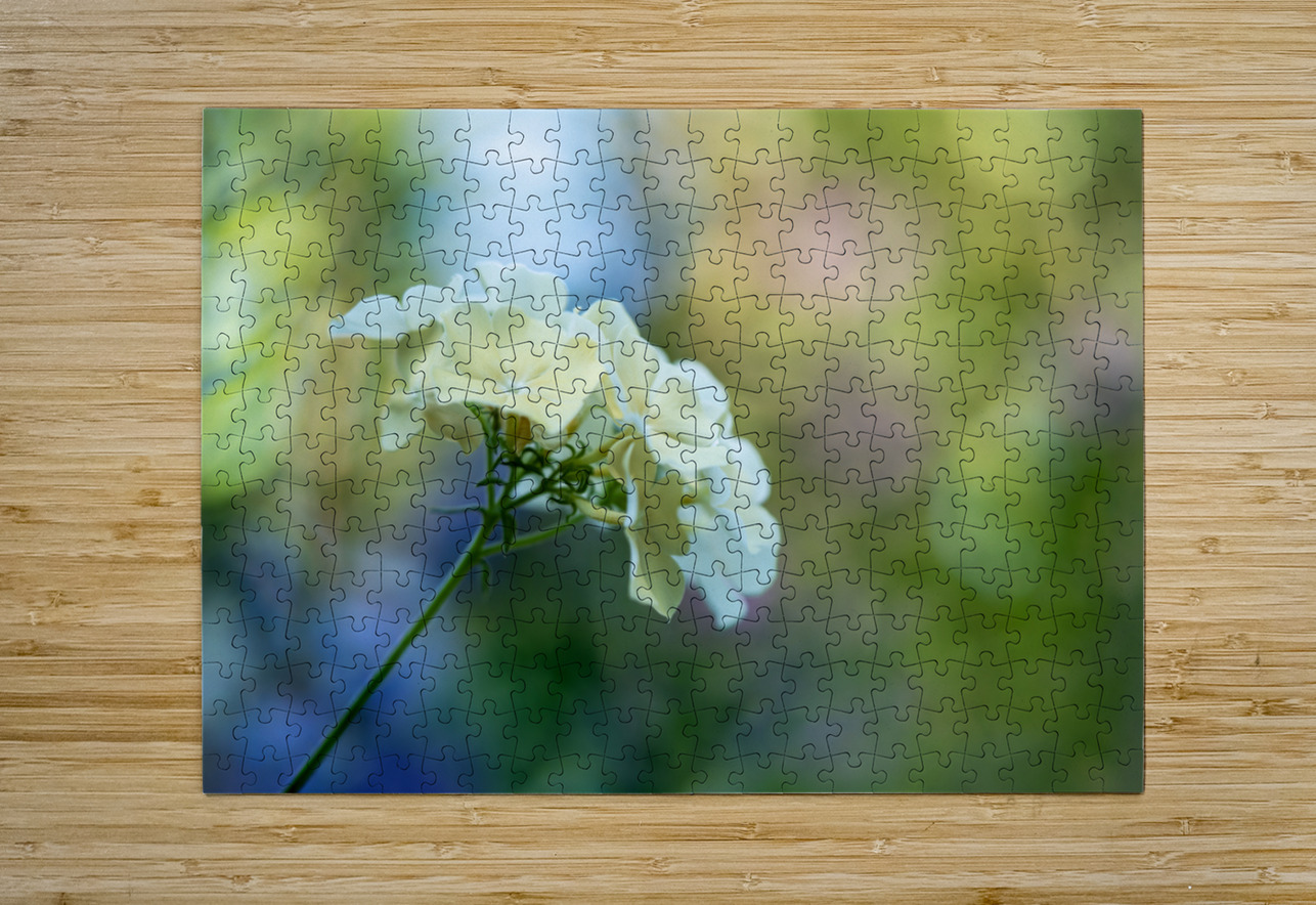 Dreamy State 2 Suzanne Bonin Puzzle printing