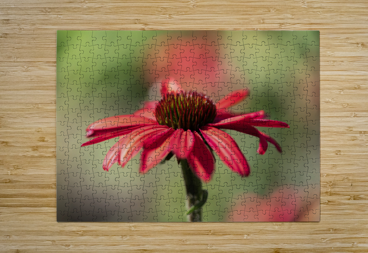 Simply Red Suzanne Bonin Puzzle printing