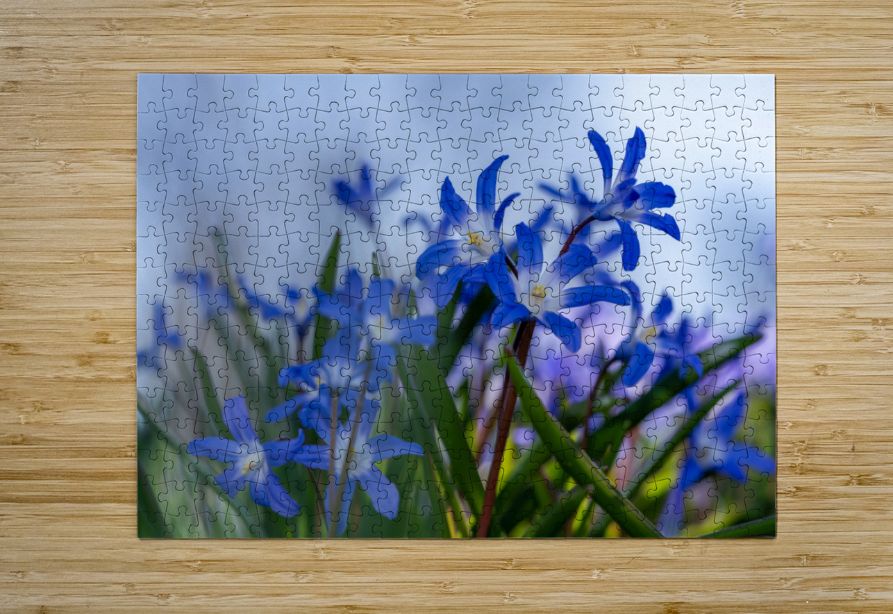 Little Blue Bulbs Suzanne Bonin Puzzle printing