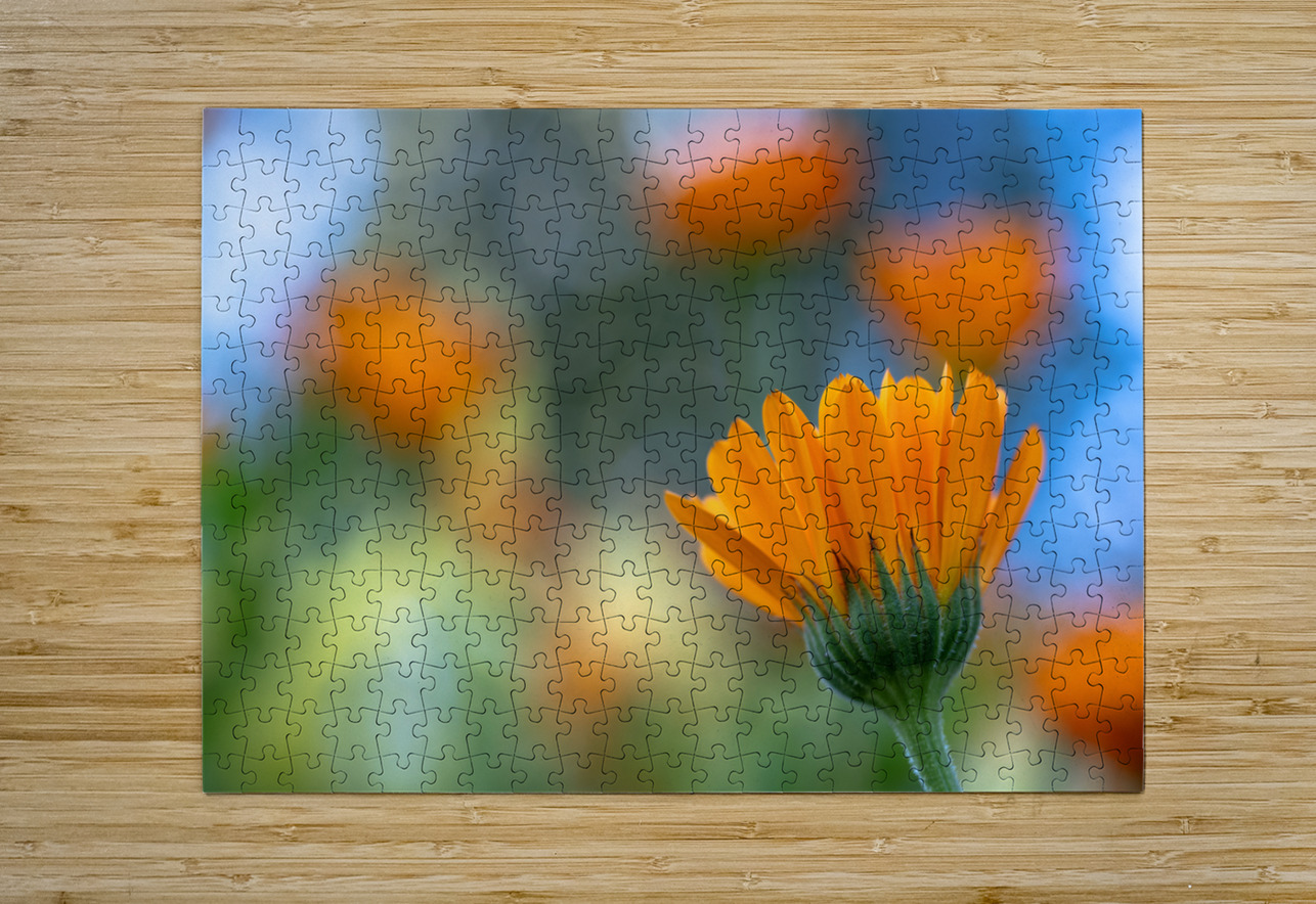 Foreground Suzanne Bonin Puzzle printing