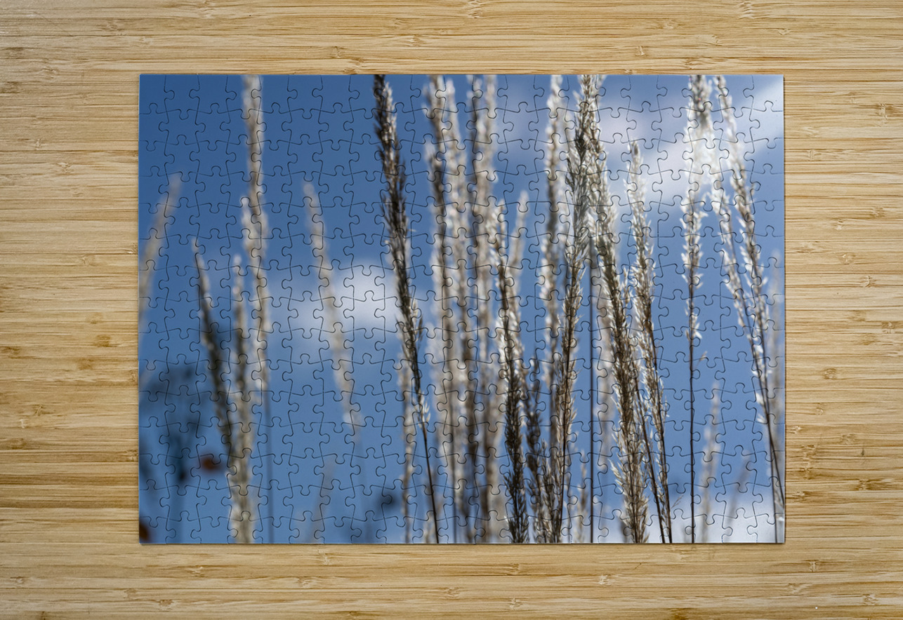 Silver Grass Suzanne Bonin Puzzle printing
