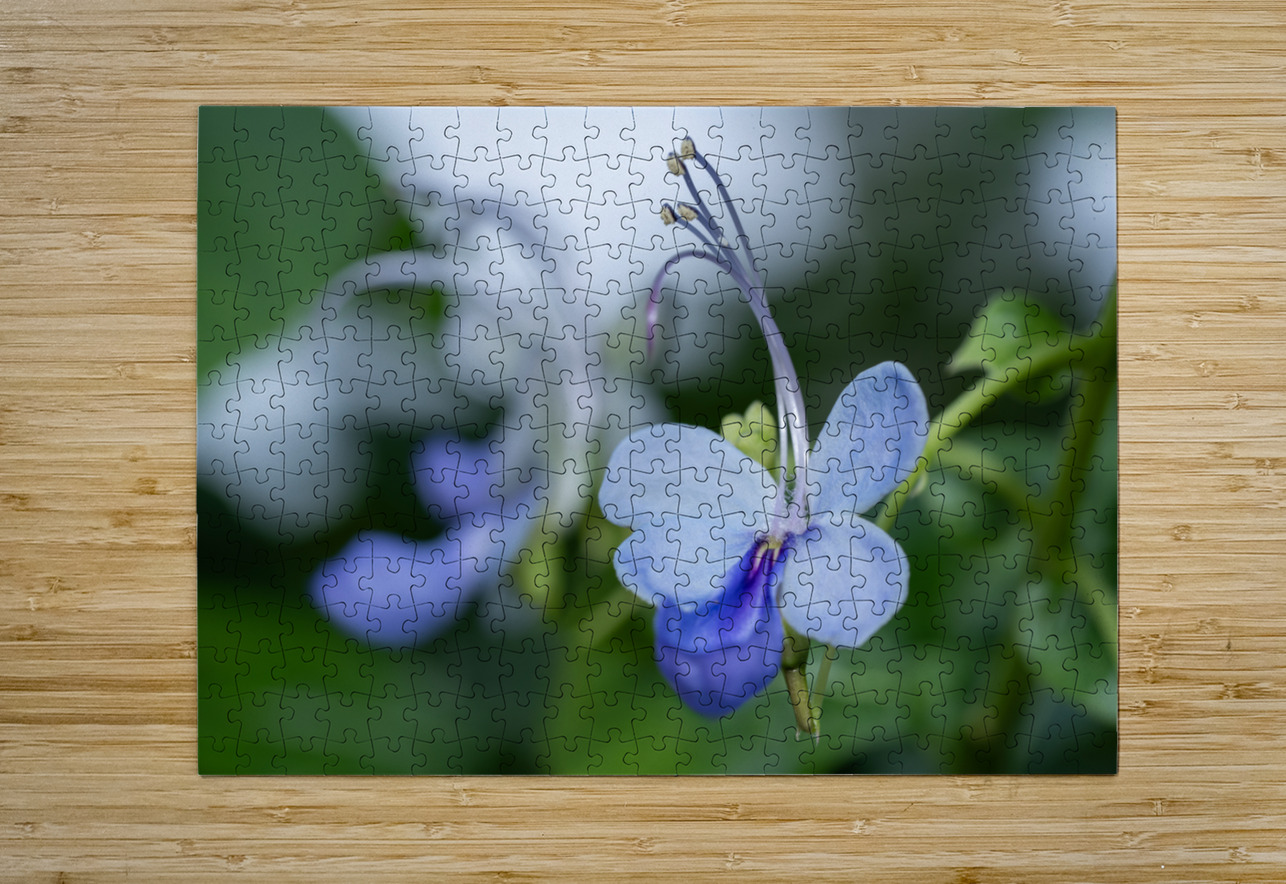 Beetle Killer Suzanne Bonin Puzzle printing