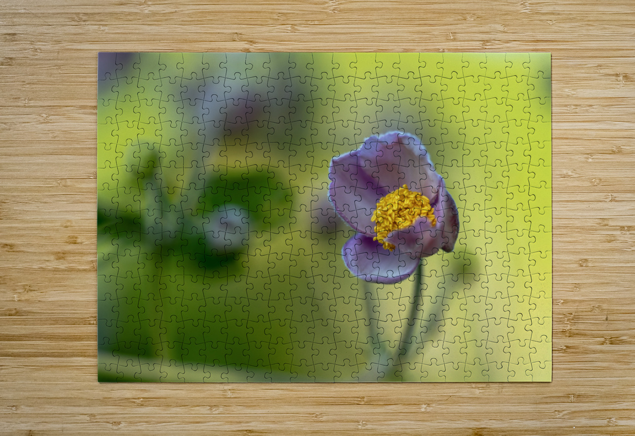 Looking Forward Suzanne Bonin Puzzle printing