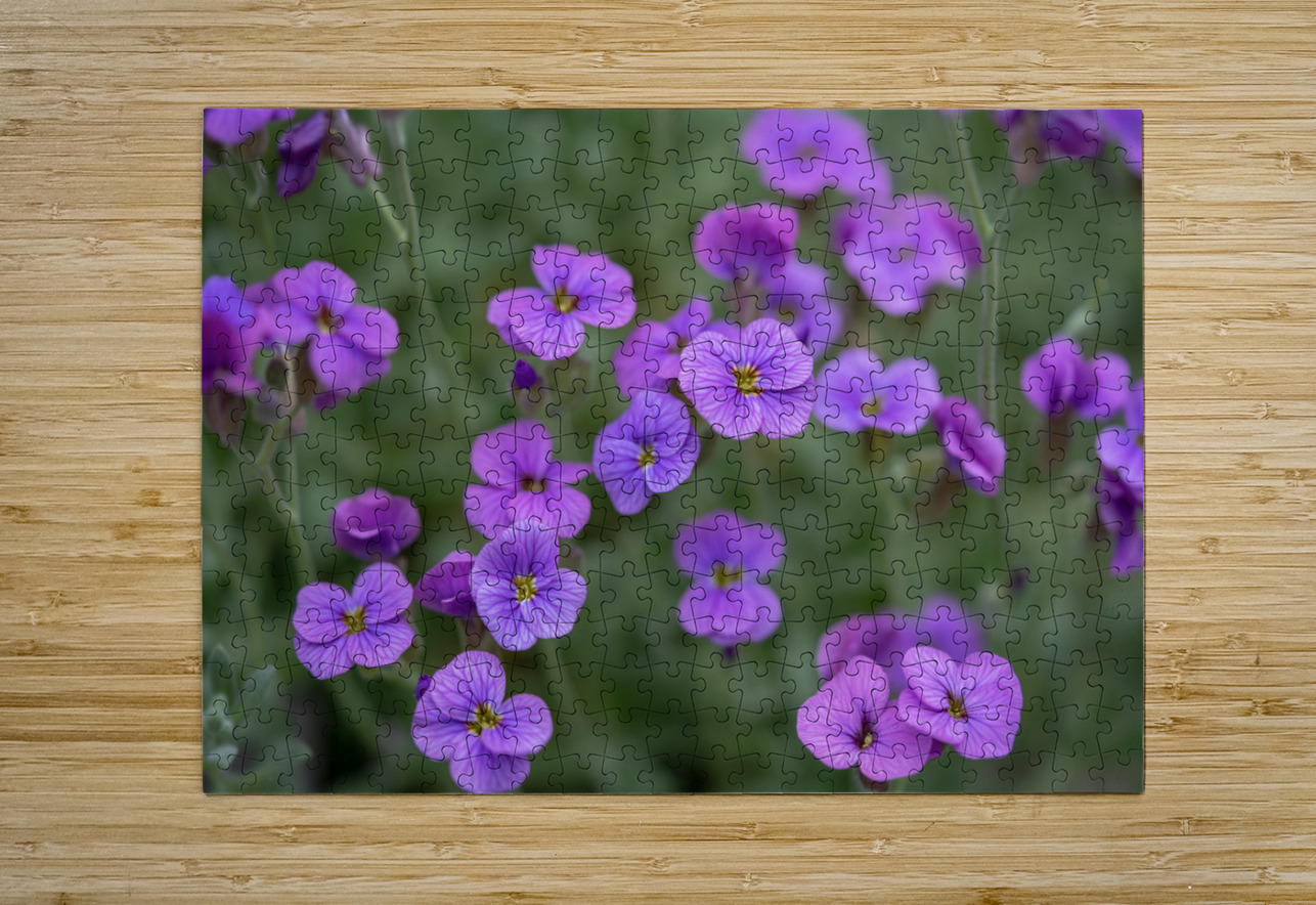 Lilacbush Suzanne Bonin Puzzle printing