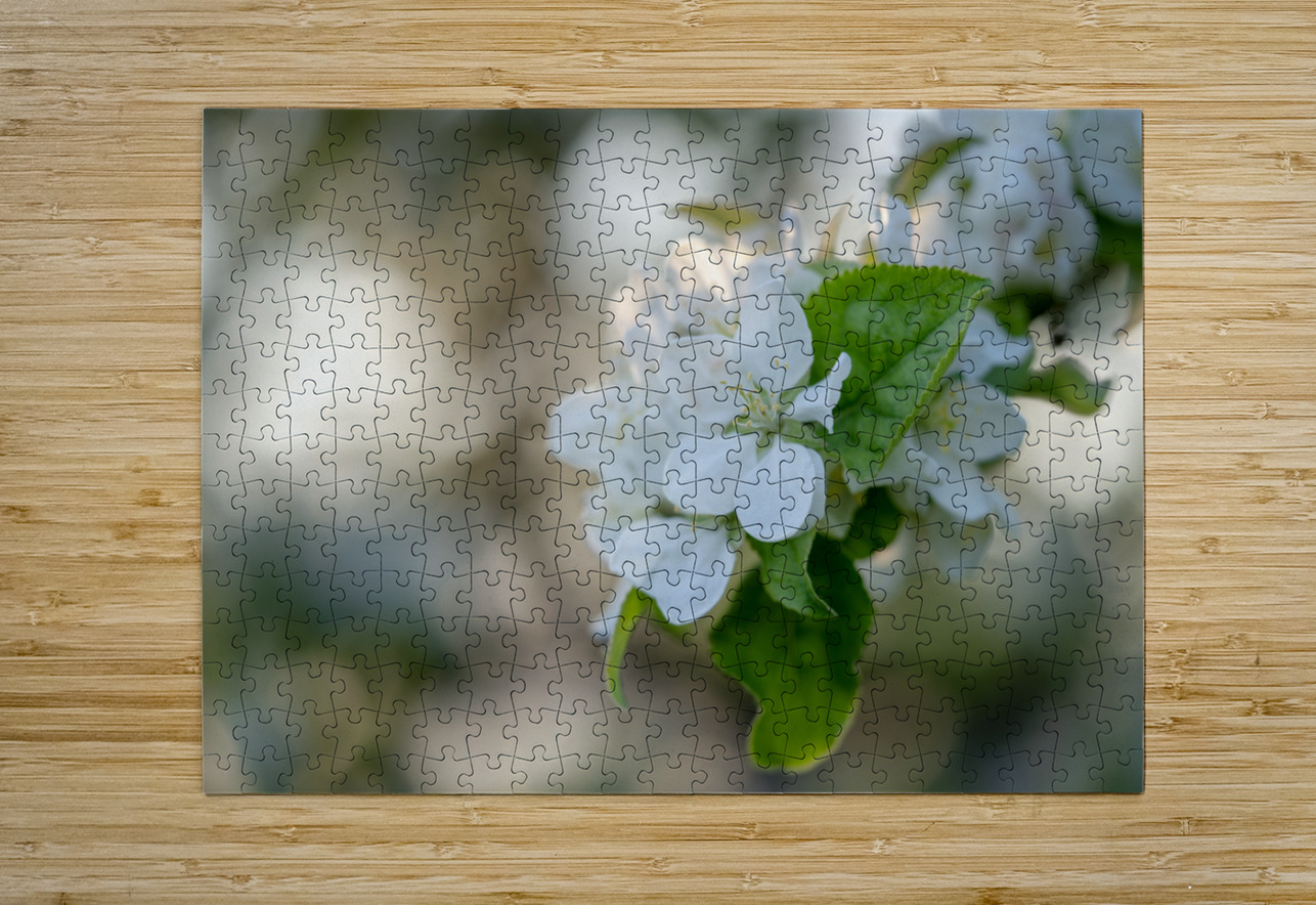 Whispering Blooms Suzanne Bonin Puzzle printing