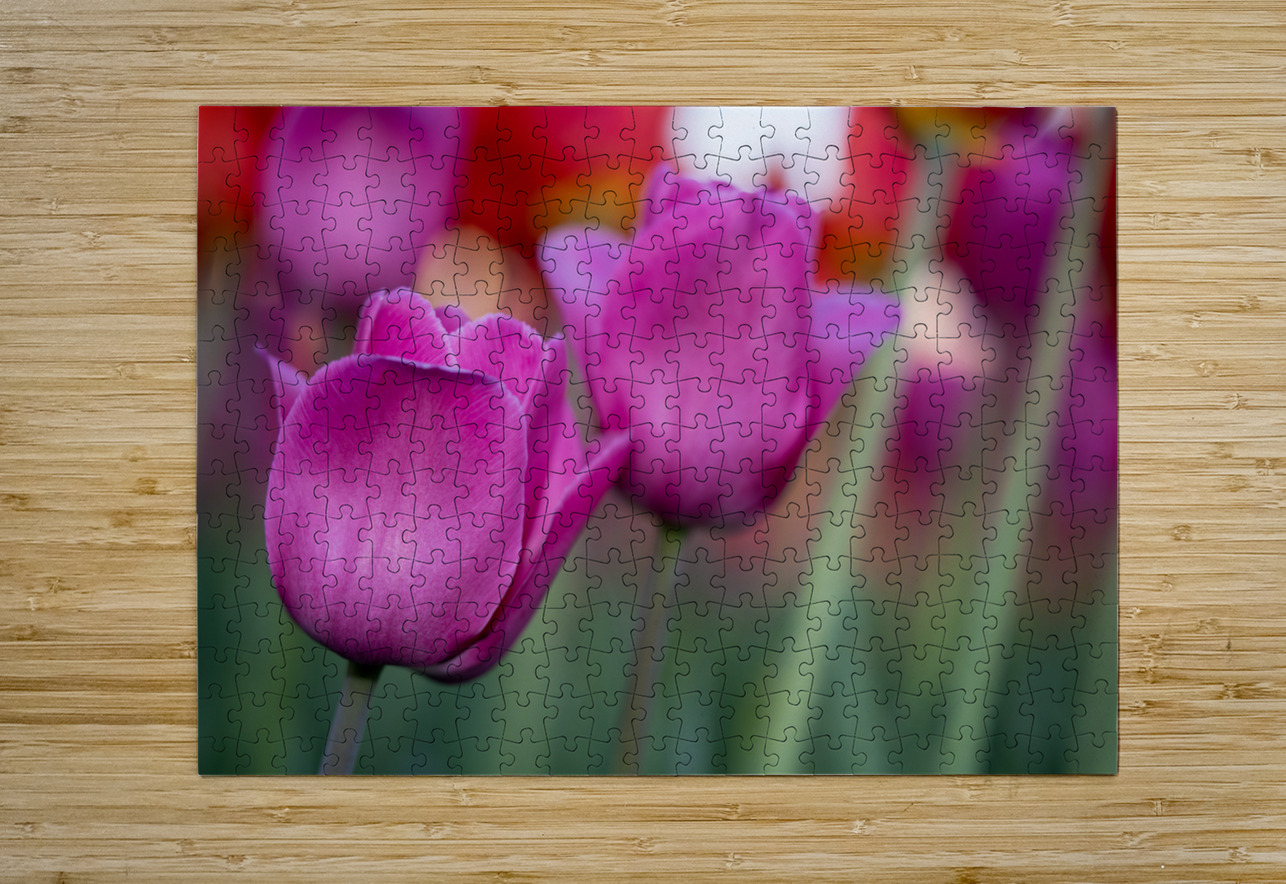 Bubblegum Bloom Bliss Suzanne Bonin Puzzle printing