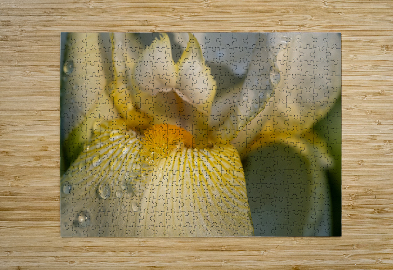 Dreamy Iris Suzanne Bonin Puzzle printing