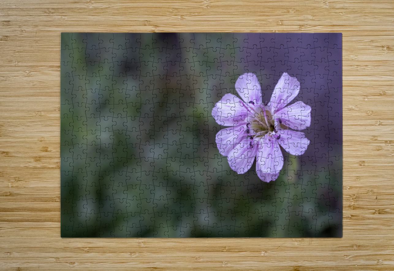 Mauve Melody Suzanne Bonin Puzzle printing