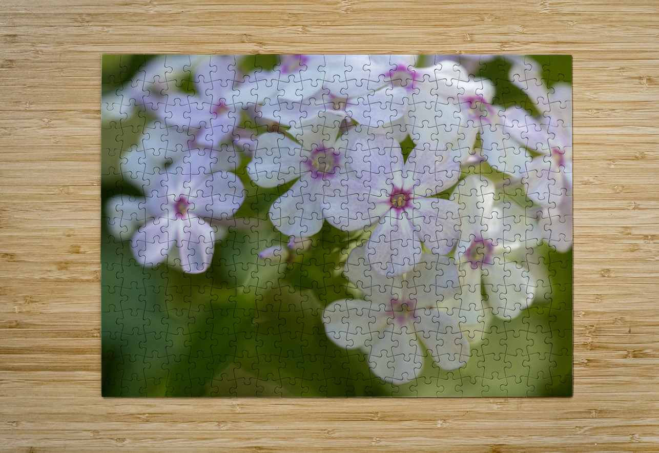 Mellow Melody Suzanne Bonin Puzzle printing