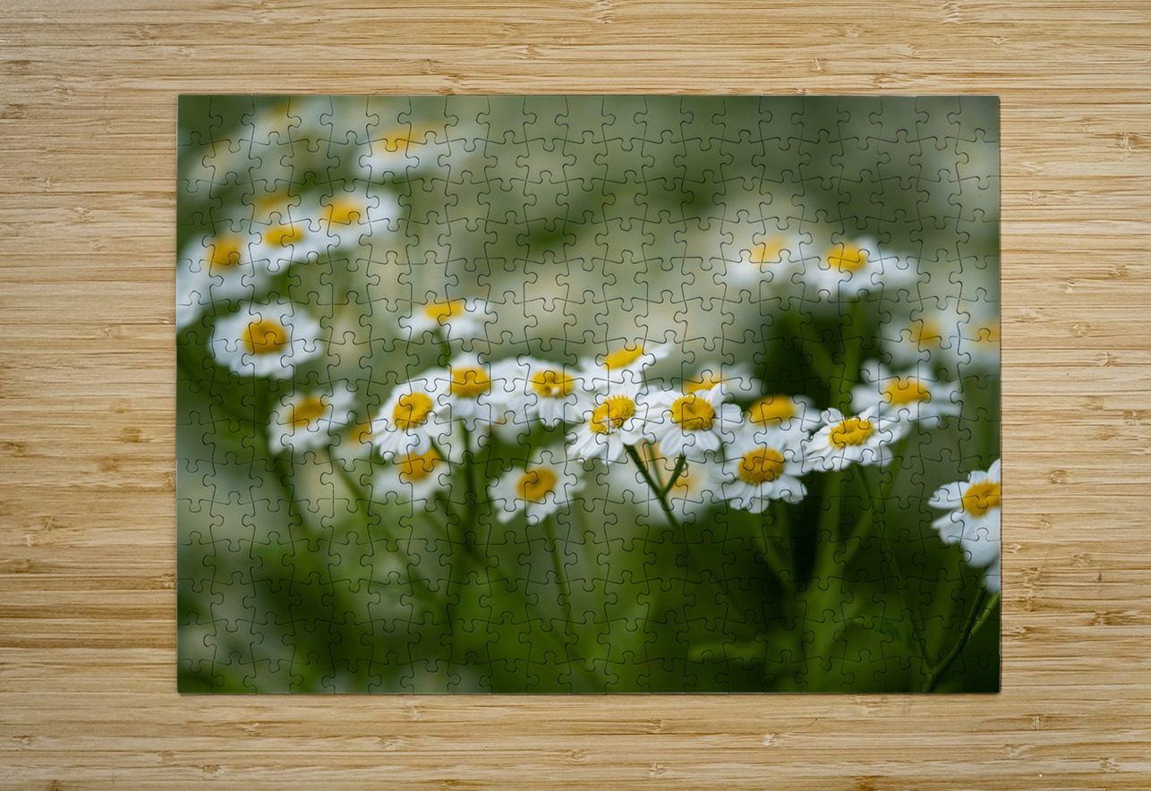 Whispers of Nature Suzanne Bonin Puzzle printing