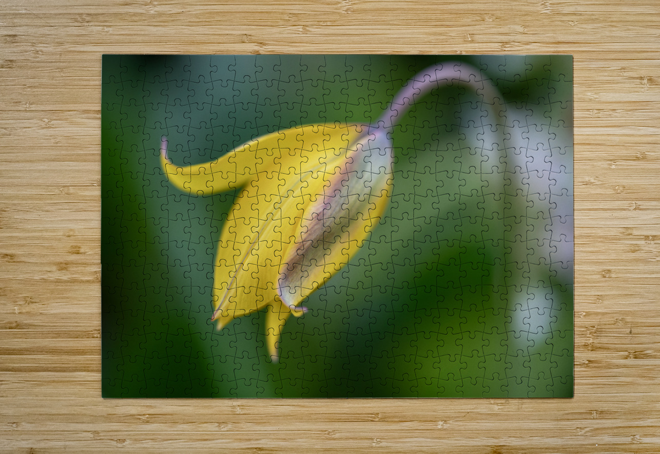 Yellow Bliss Suzanne Bonin Puzzle printing