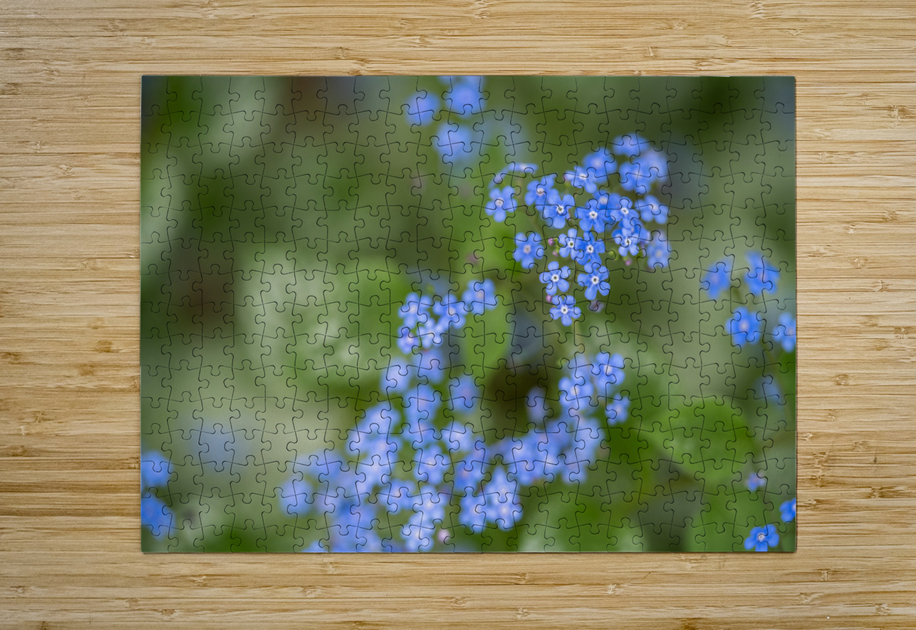 Blue Rosary Suzanne Bonin Puzzle printing