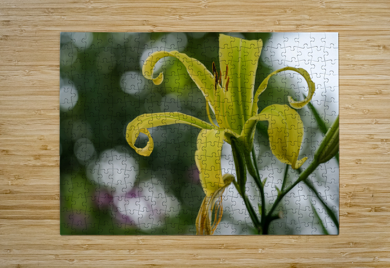 Call Me Lily Suzanne Bonin Puzzle printing