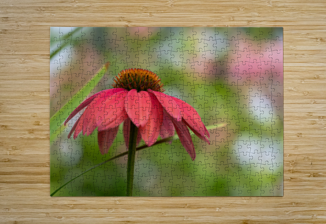 Cool One Suzanne Bonin Puzzle printing