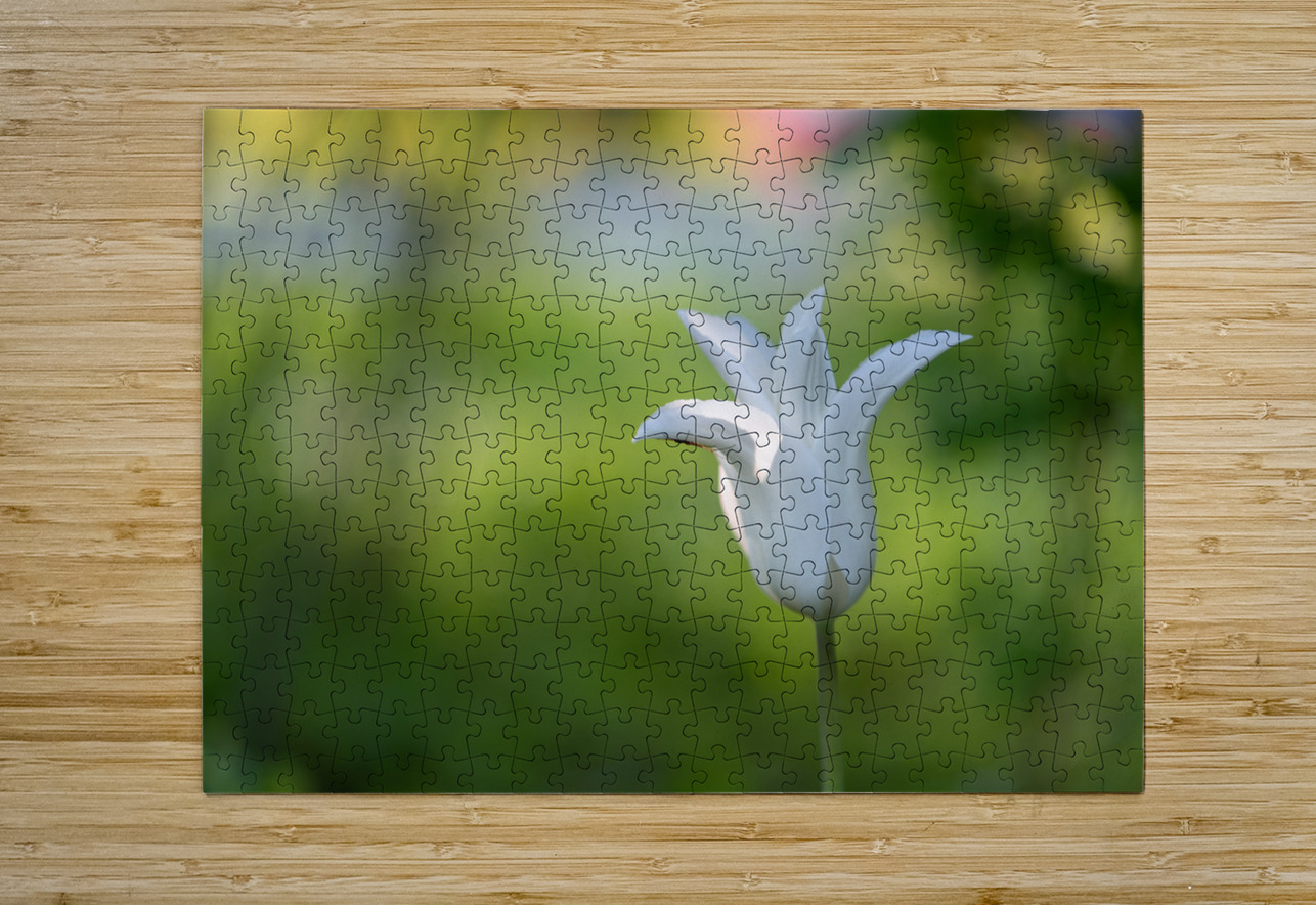 Dear Friend Suzanne Bonin Puzzle printing