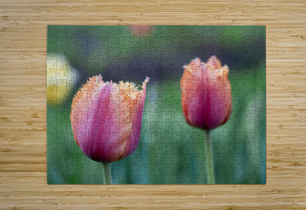 Eyecatching Ones Suzanne Bonin Puzzle printing