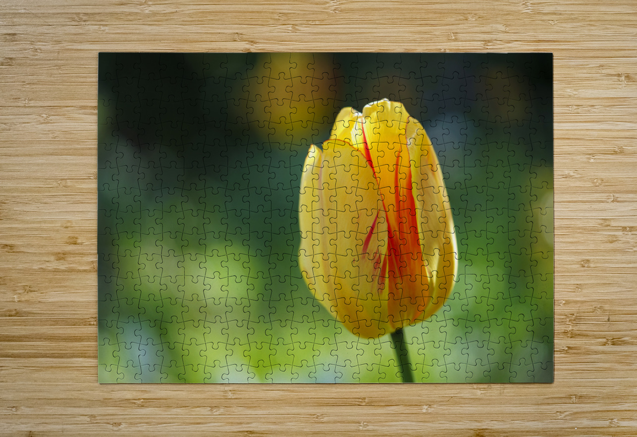 In the Foreground Suzanne Bonin Puzzle printing