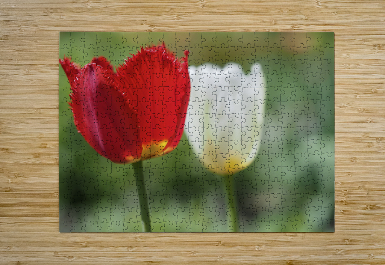 I Choose Red Suzanne Bonin Puzzle printing