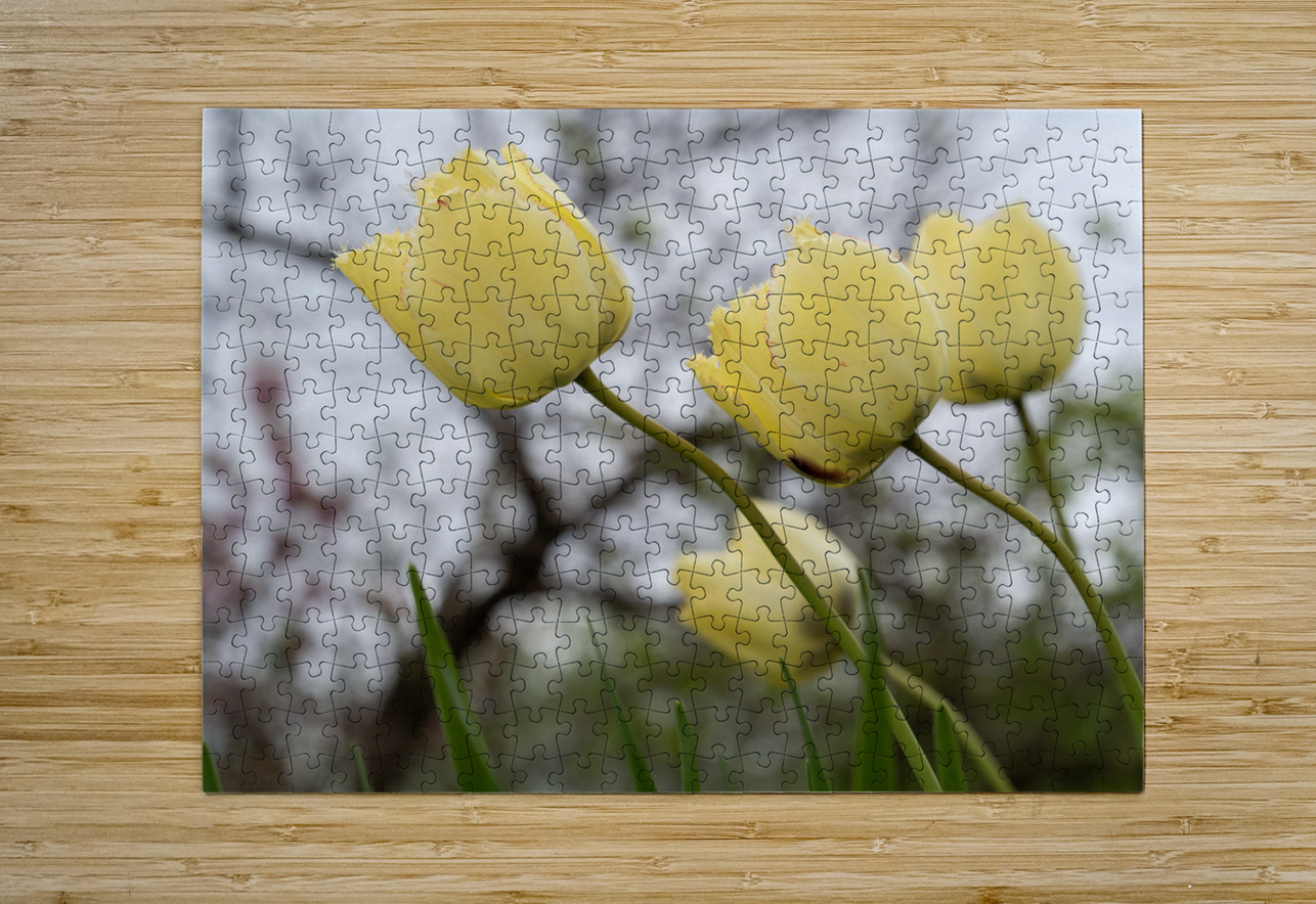 In Good Company Suzanne Bonin Puzzle printing