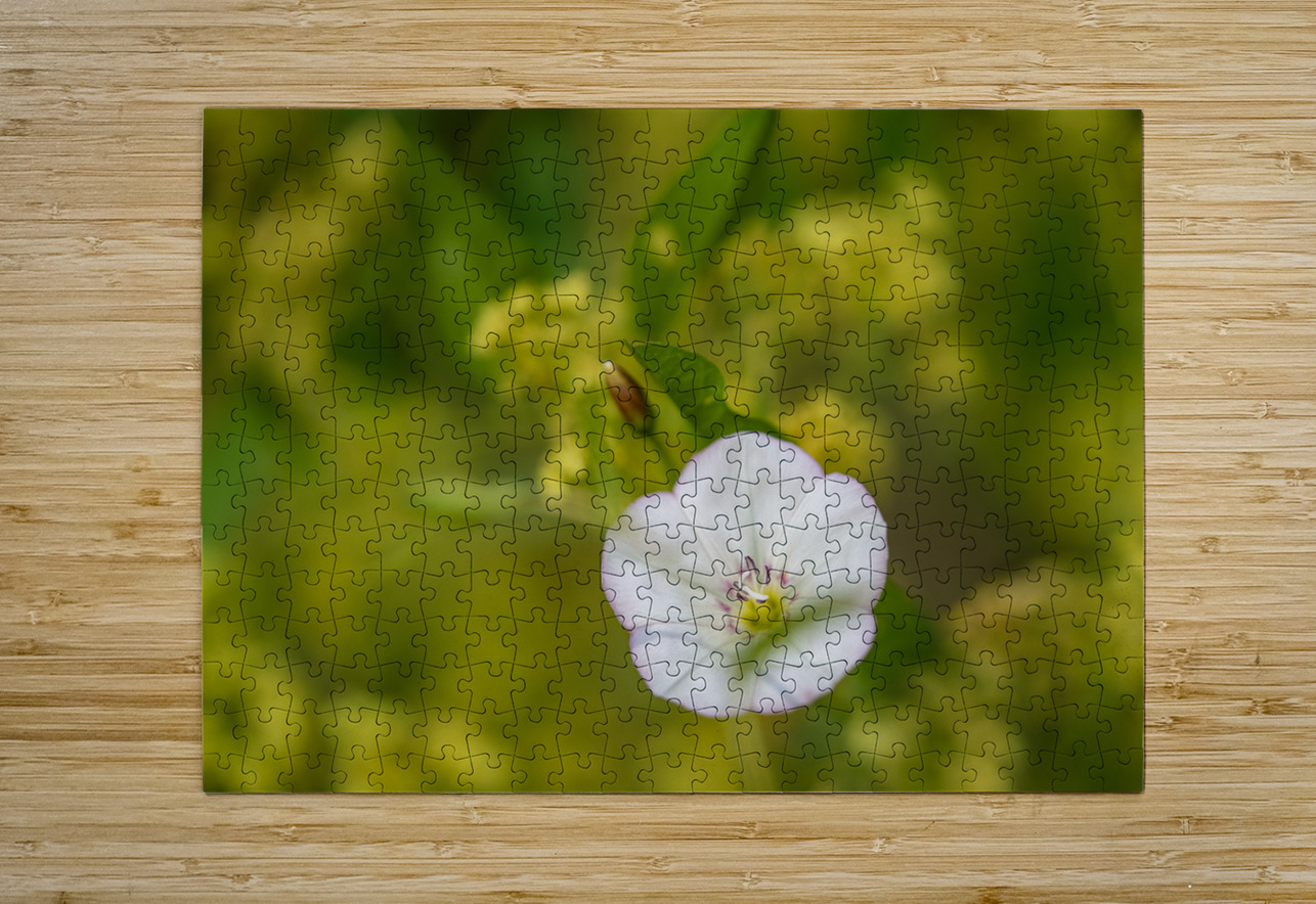 Little Glass 2 Suzanne Bonin Puzzle printing