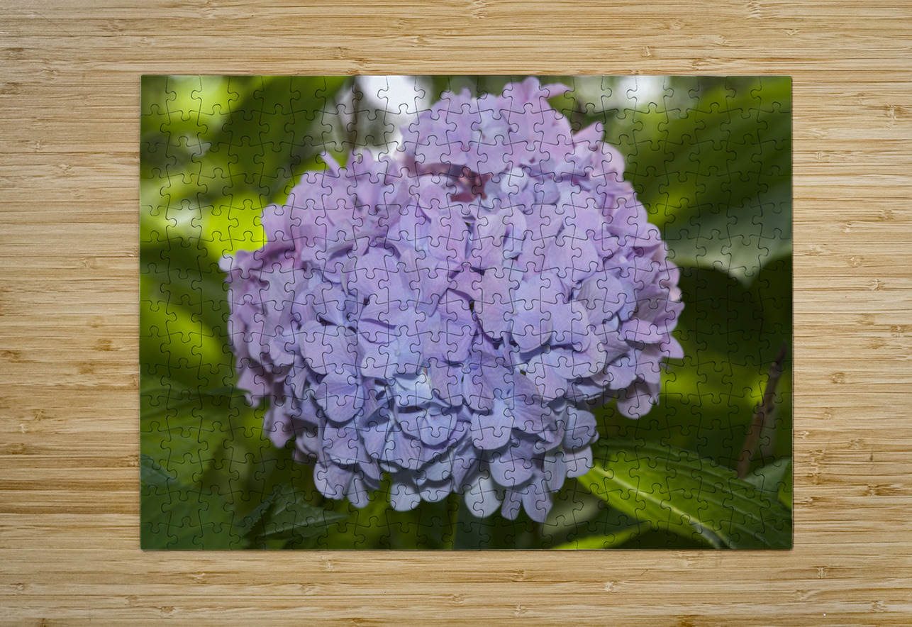 Lilac Hydrangea Suzanne Bonin Puzzle printing