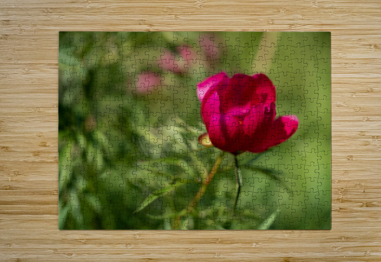 Resilient One Suzanne Bonin Puzzle printing