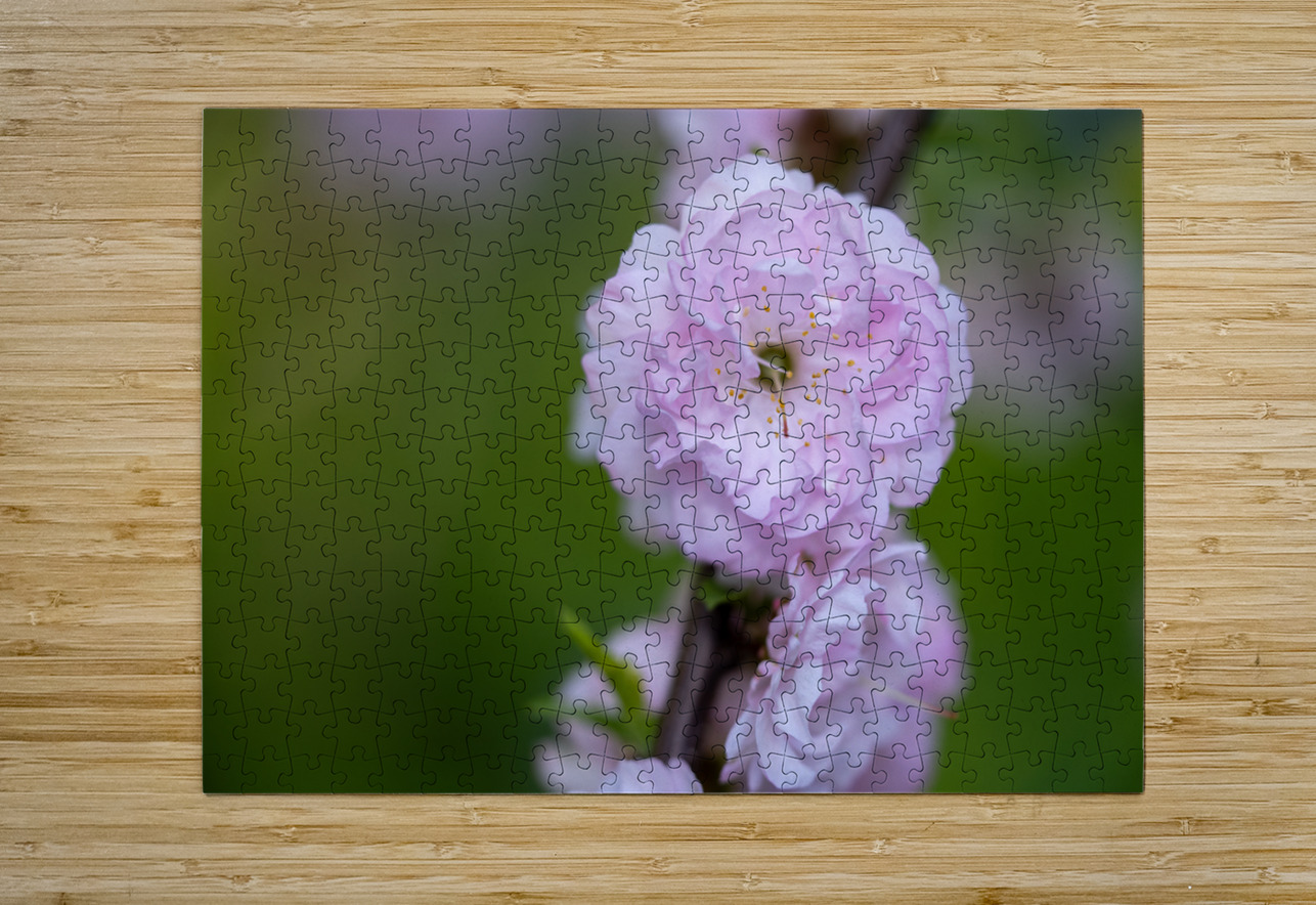 So Delicate Suzanne Bonin Puzzle printing
