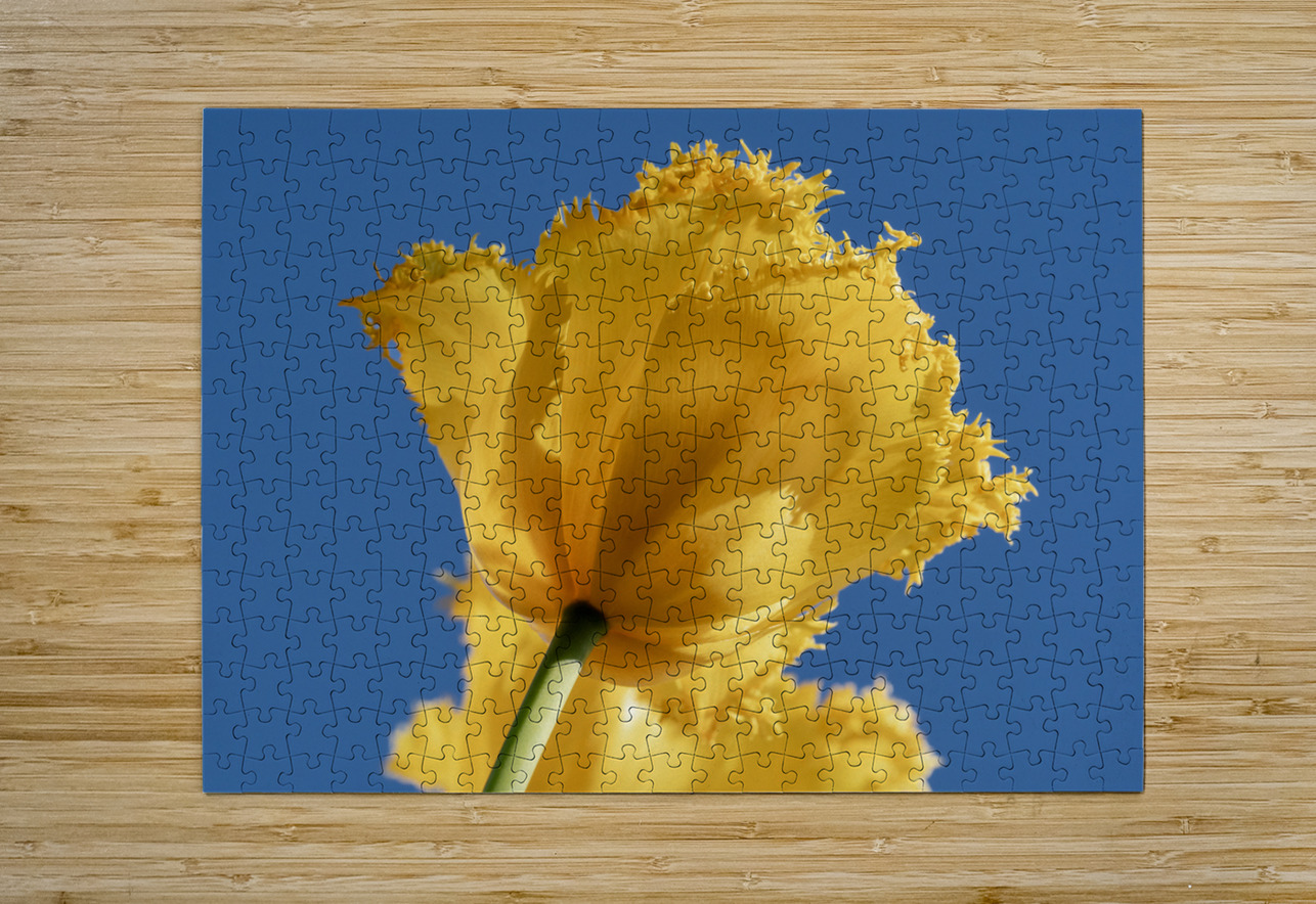 To The Sky Suzanne Bonin Puzzle printing