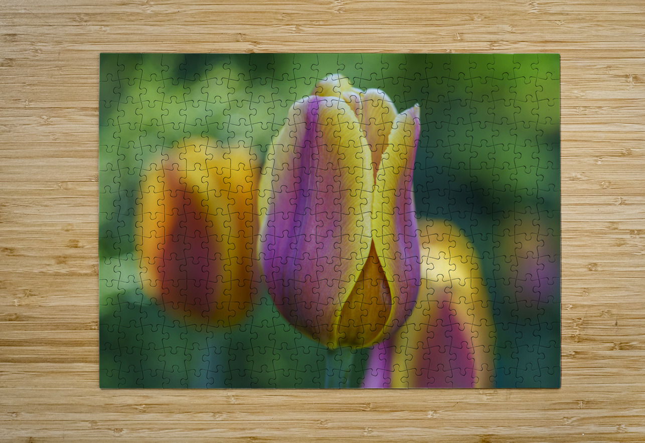 Pastel Colored Lady Suzanne Bonin Puzzle printing