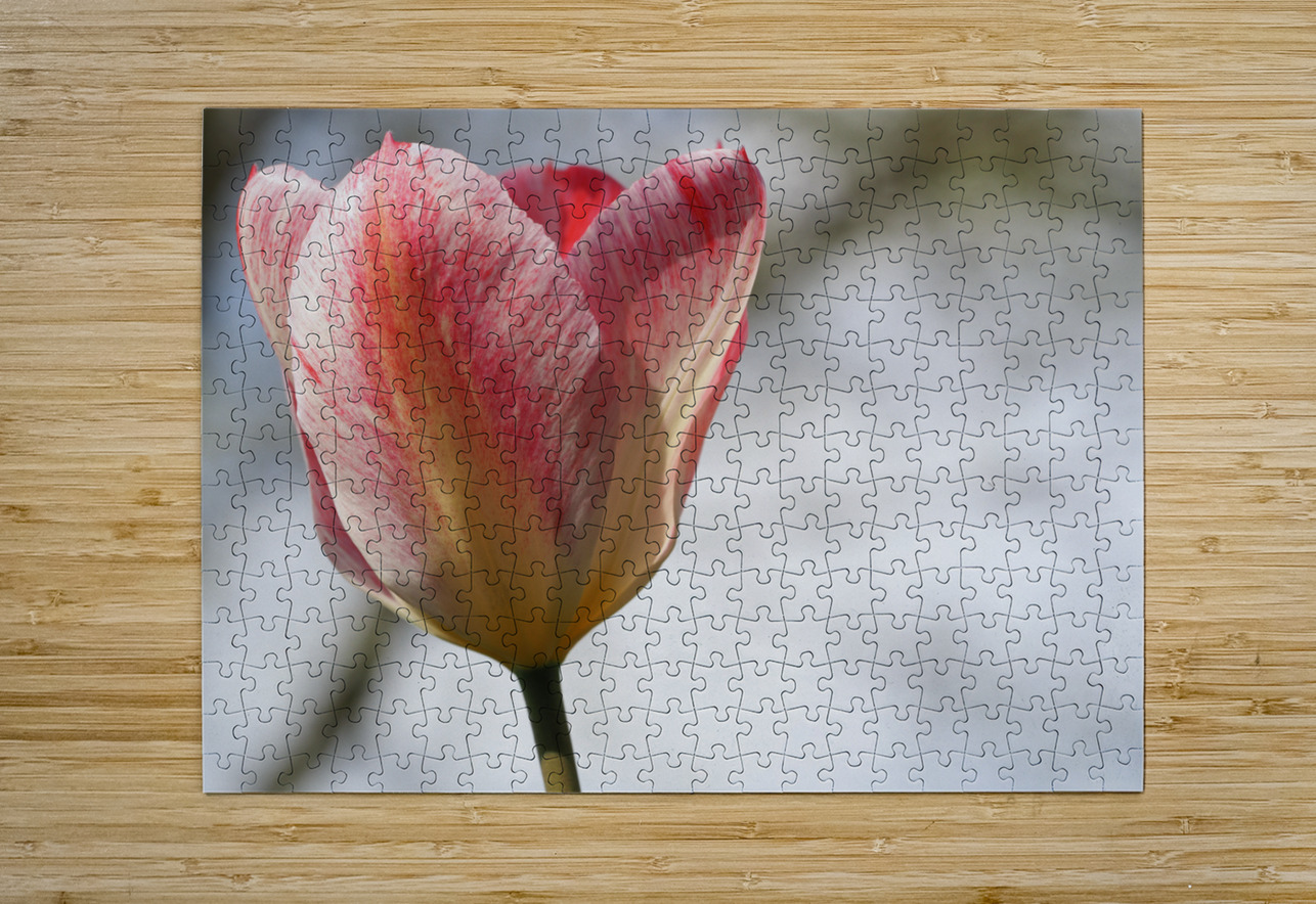 Cheerful Lady Suzanne Bonin Puzzle printing