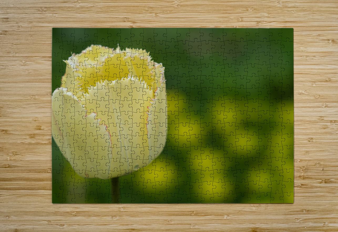 Elegant with Fringes Suzanne Bonin Puzzle printing