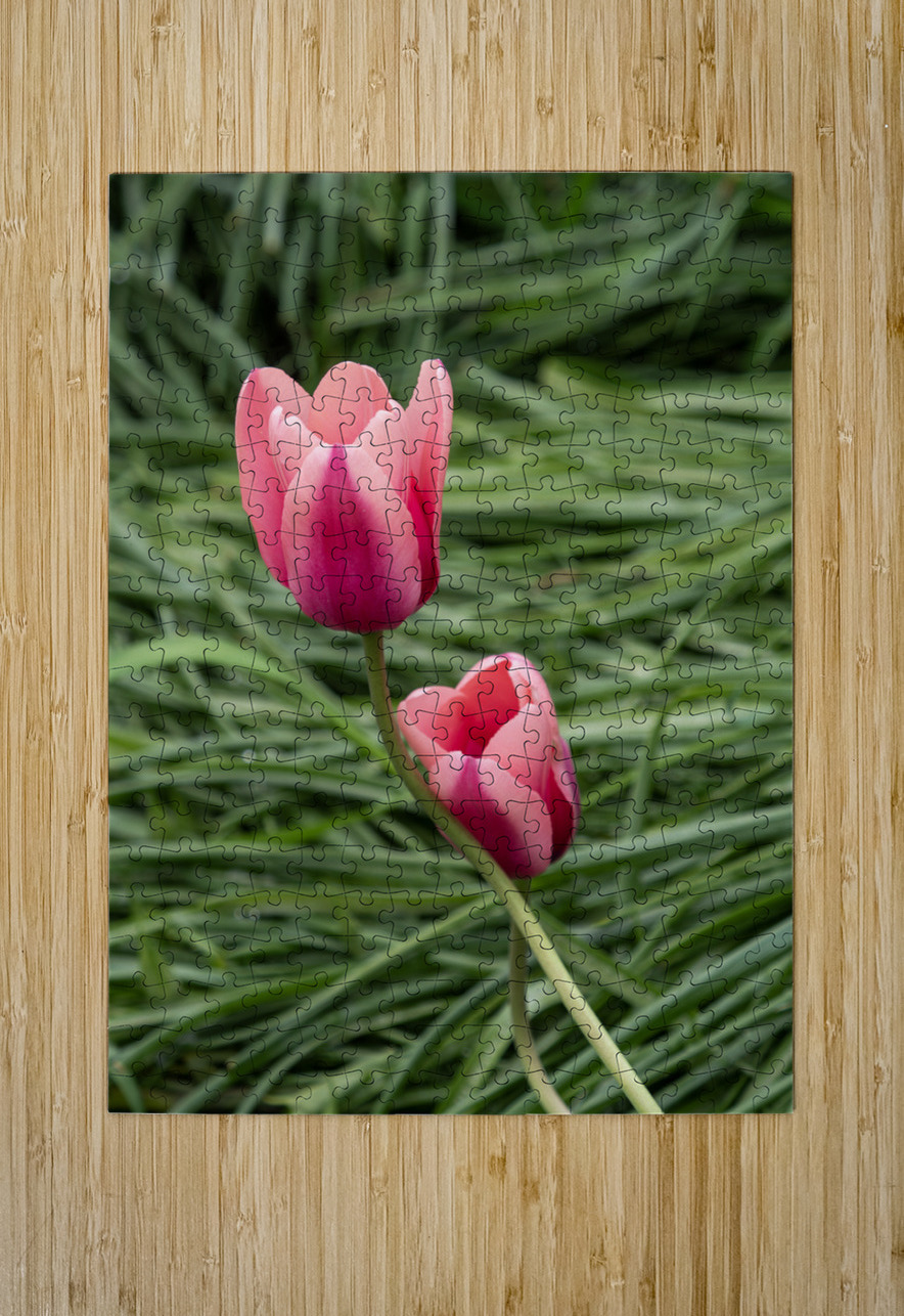 Loving You Suzanne Bonin Puzzle printing