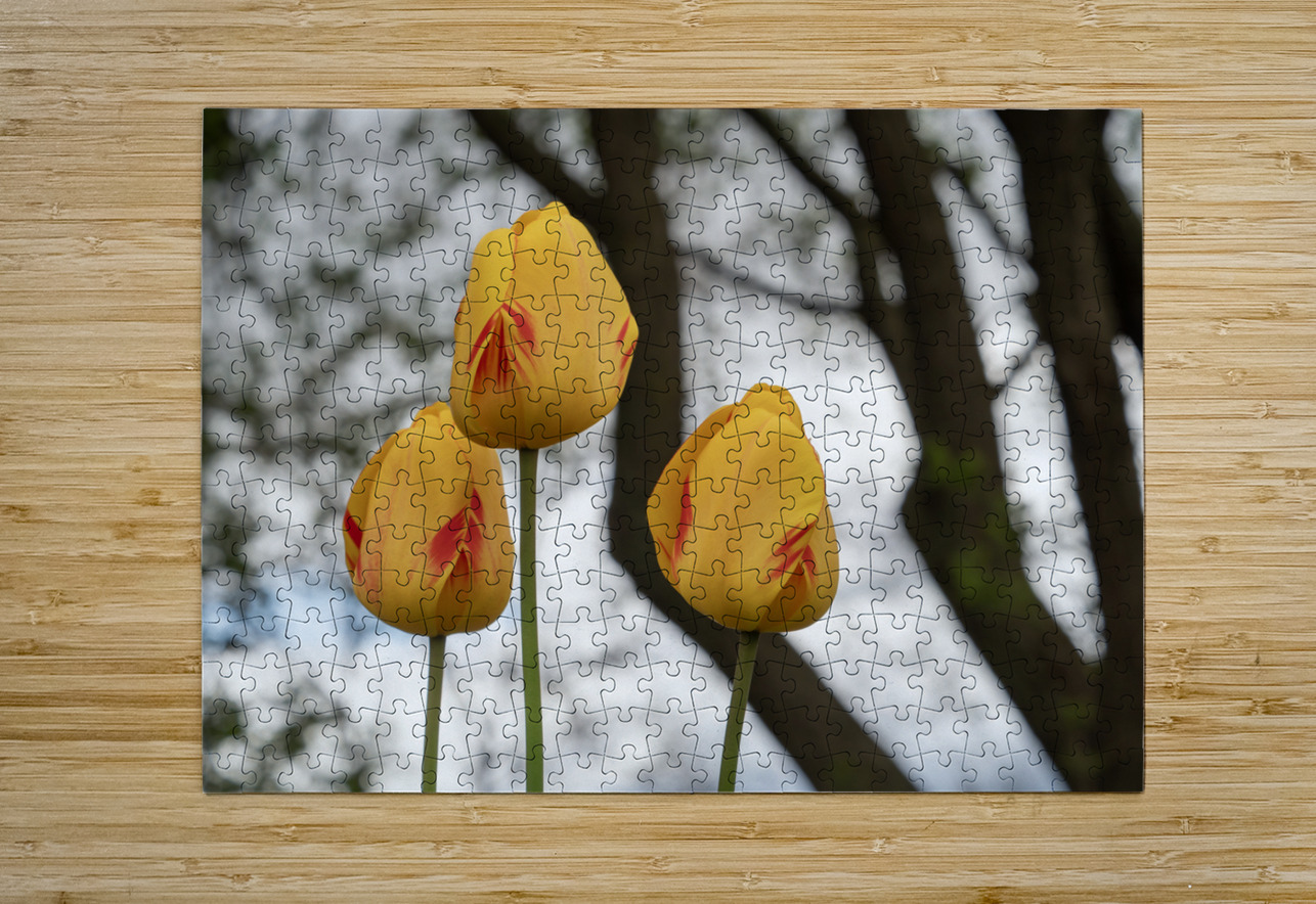 Three Peas in a Pod Suzanne Bonin Puzzle printing