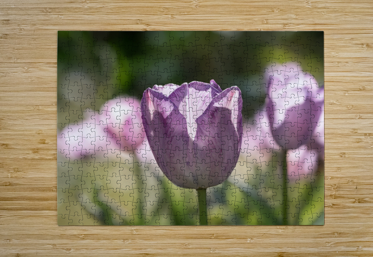 Quite a Beauty Suzanne Bonin Puzzle printing