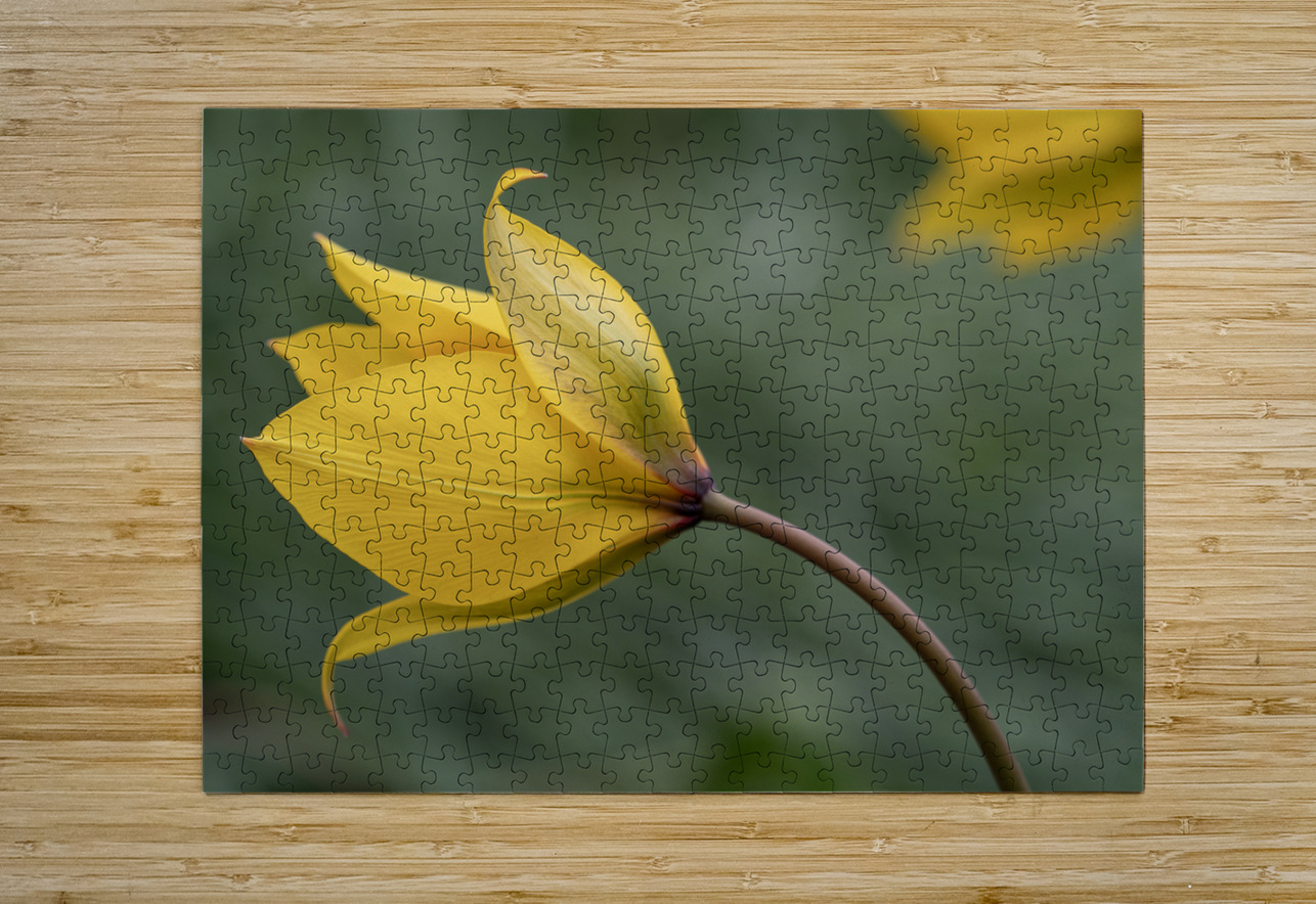 That Way Suzanne Bonin Puzzle printing