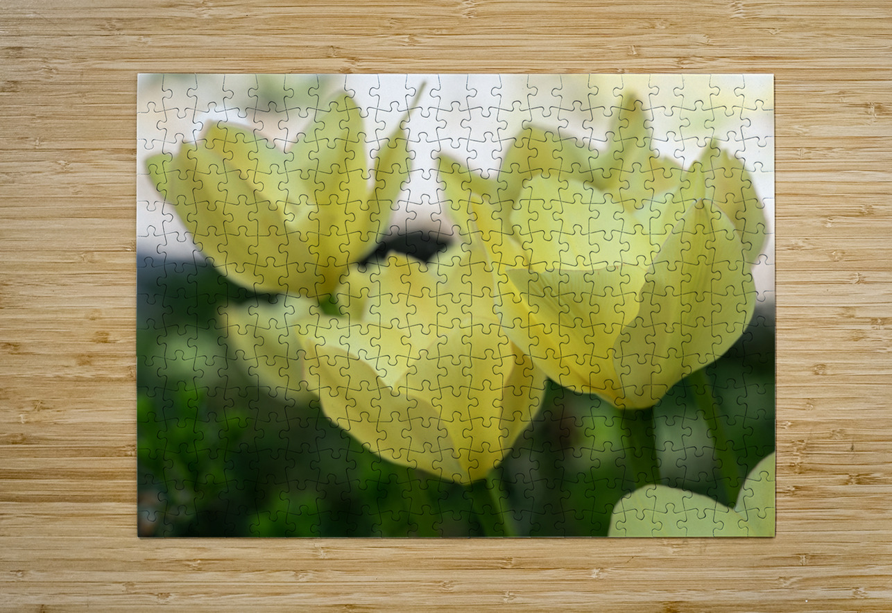 Dreamlike Suzanne Bonin Puzzle printing