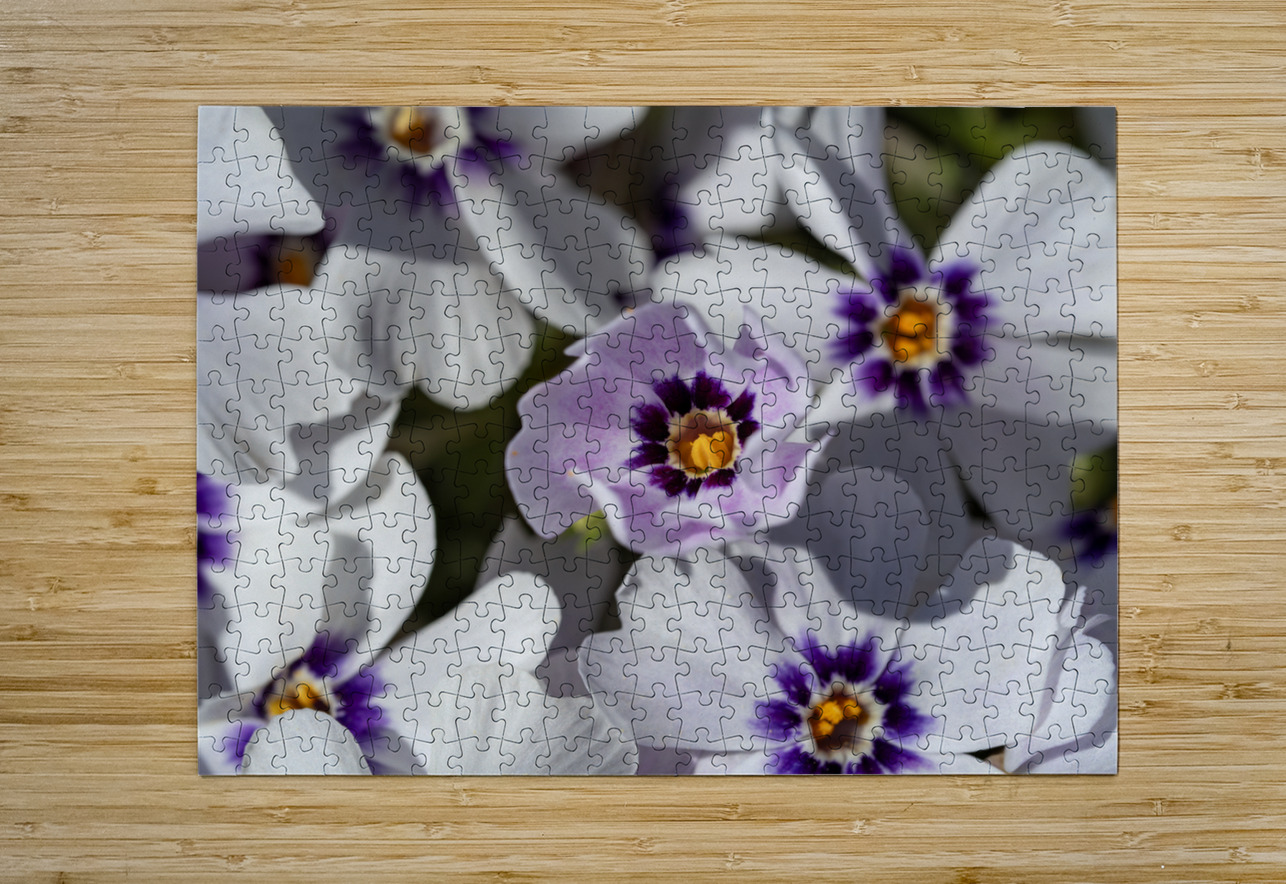 Pretty Nice Suzanne Bonin Puzzle printing