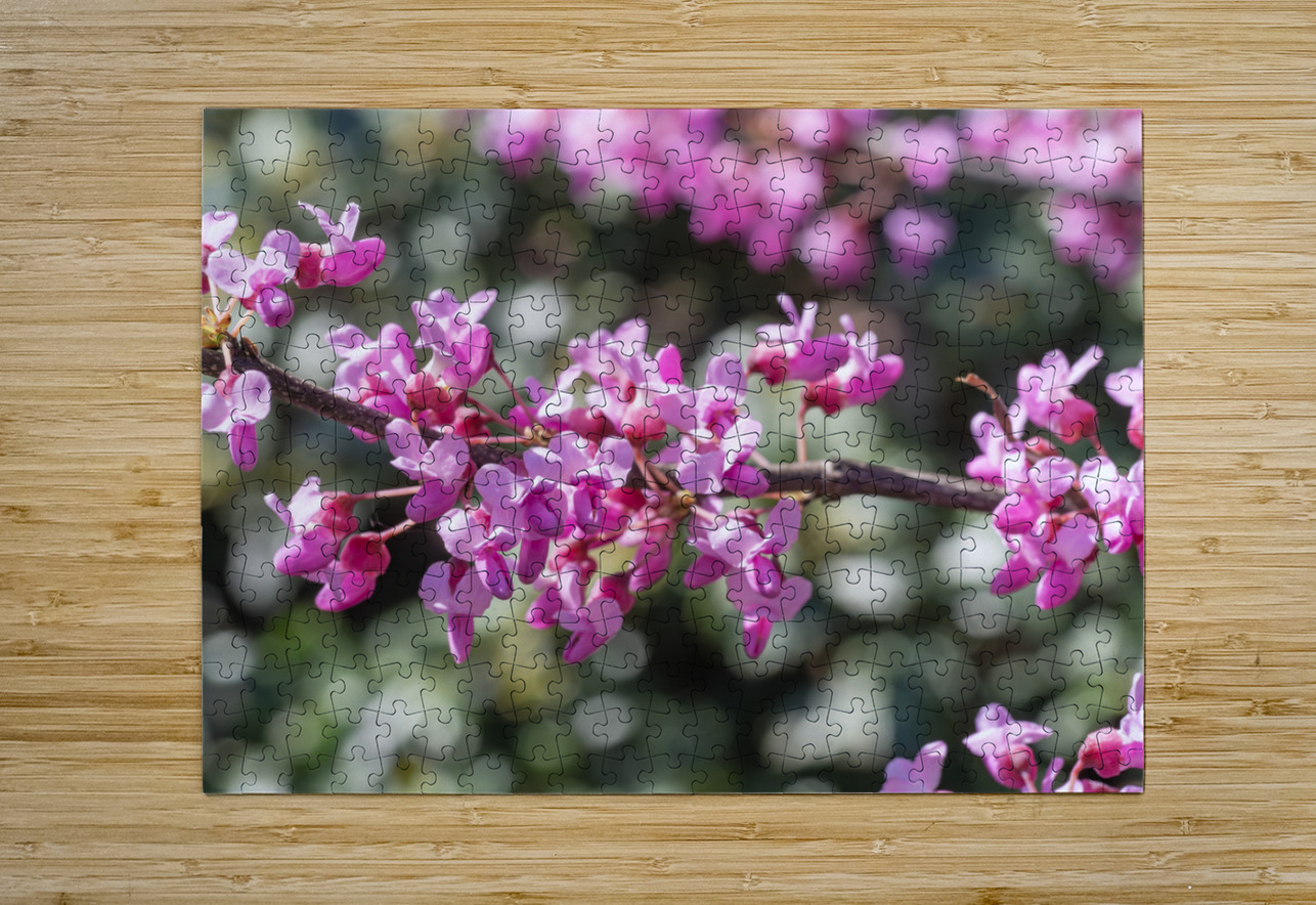 Cuties Suzanne Bonin Puzzle printing