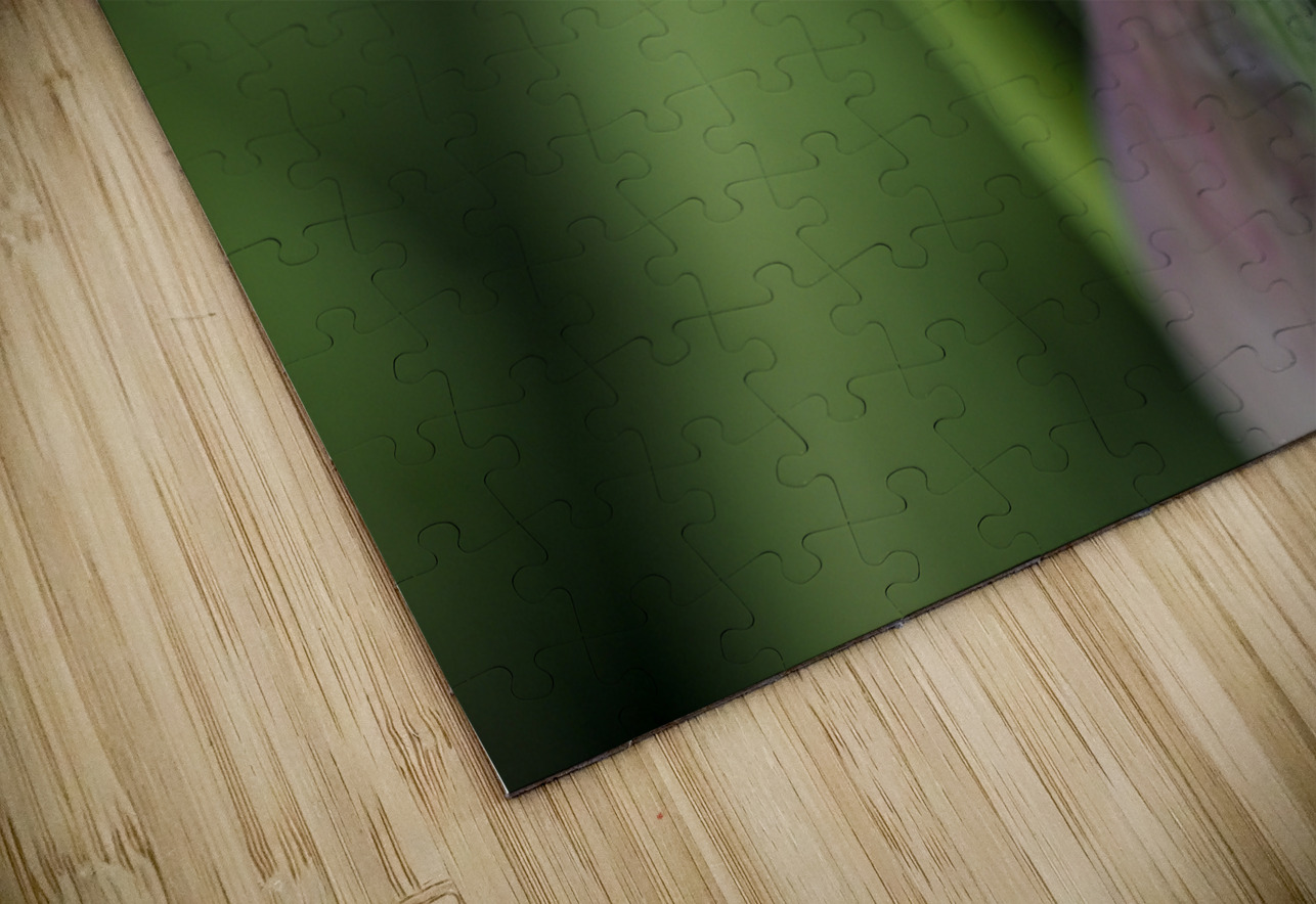 Spider with Rainbow Drop Suzanne Bonin Puzzle