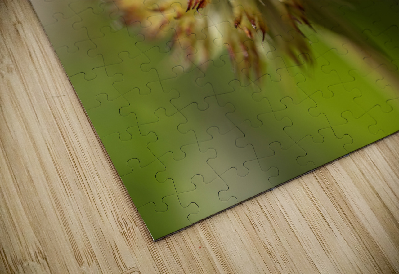 Blanketflower Suzanne Bonin Puzzle