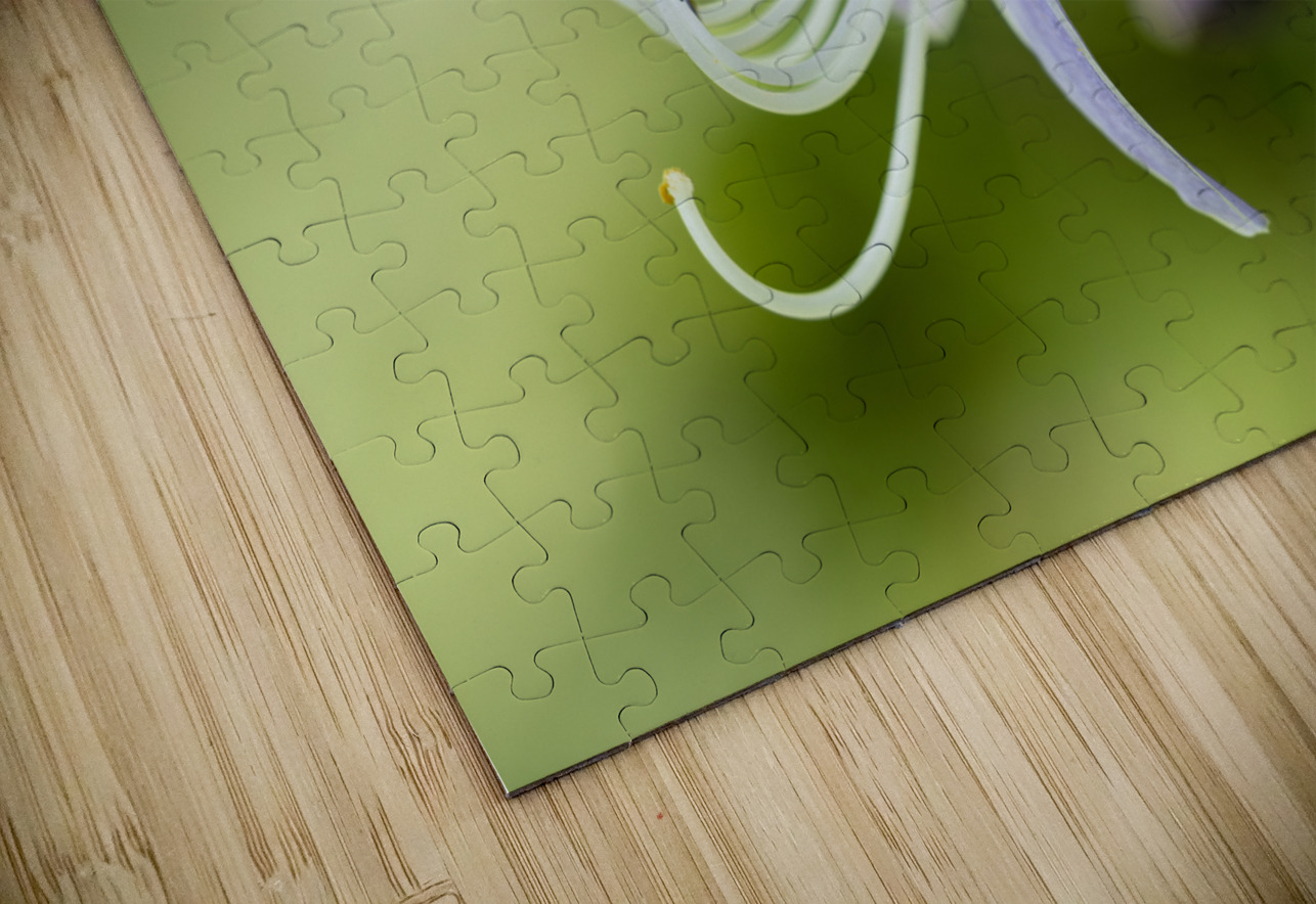 Purple Hosta Flower Suzanne Bonin Puzzle