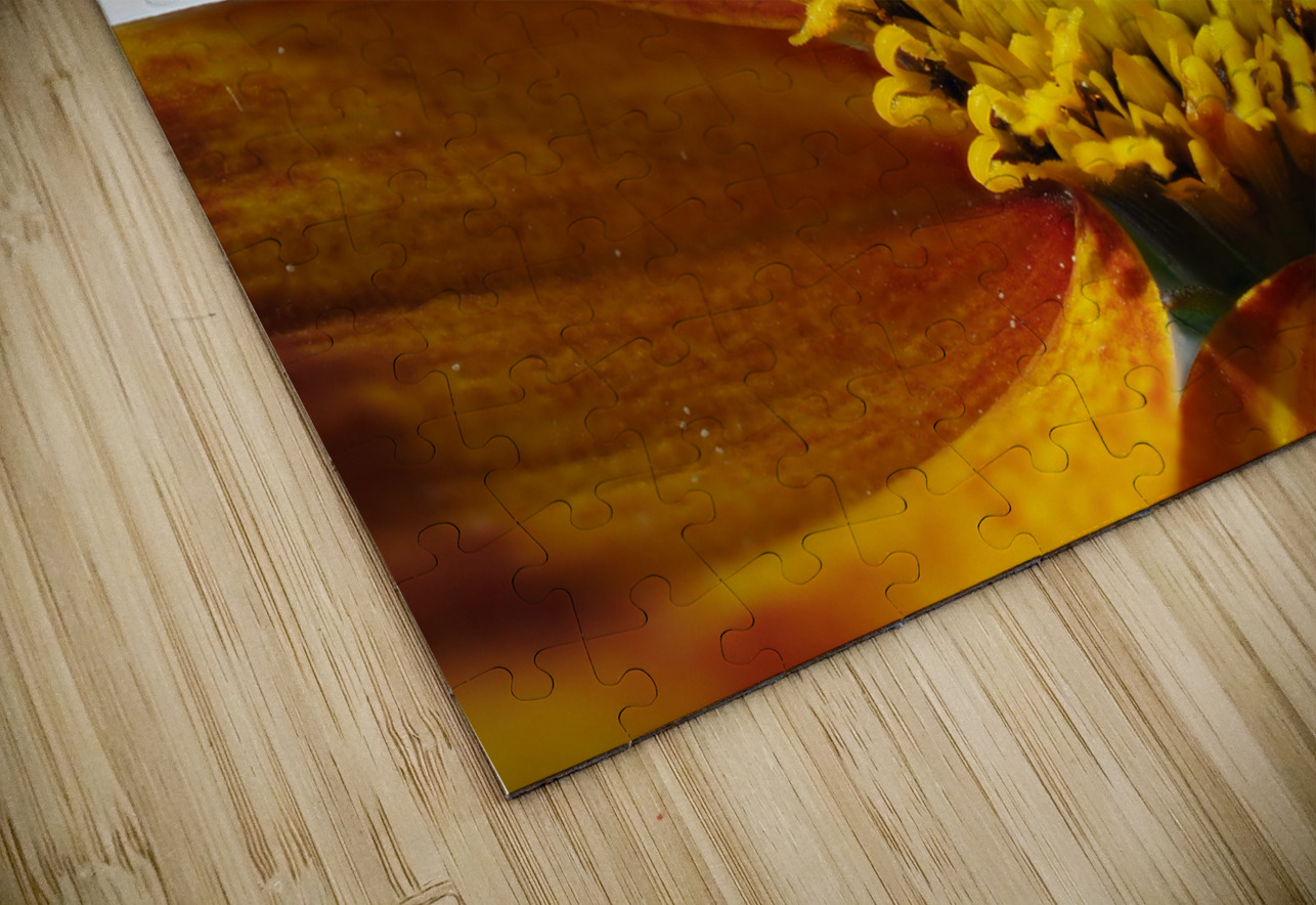 Bidens Ferulifolia Suzanne Bonin Puzzle