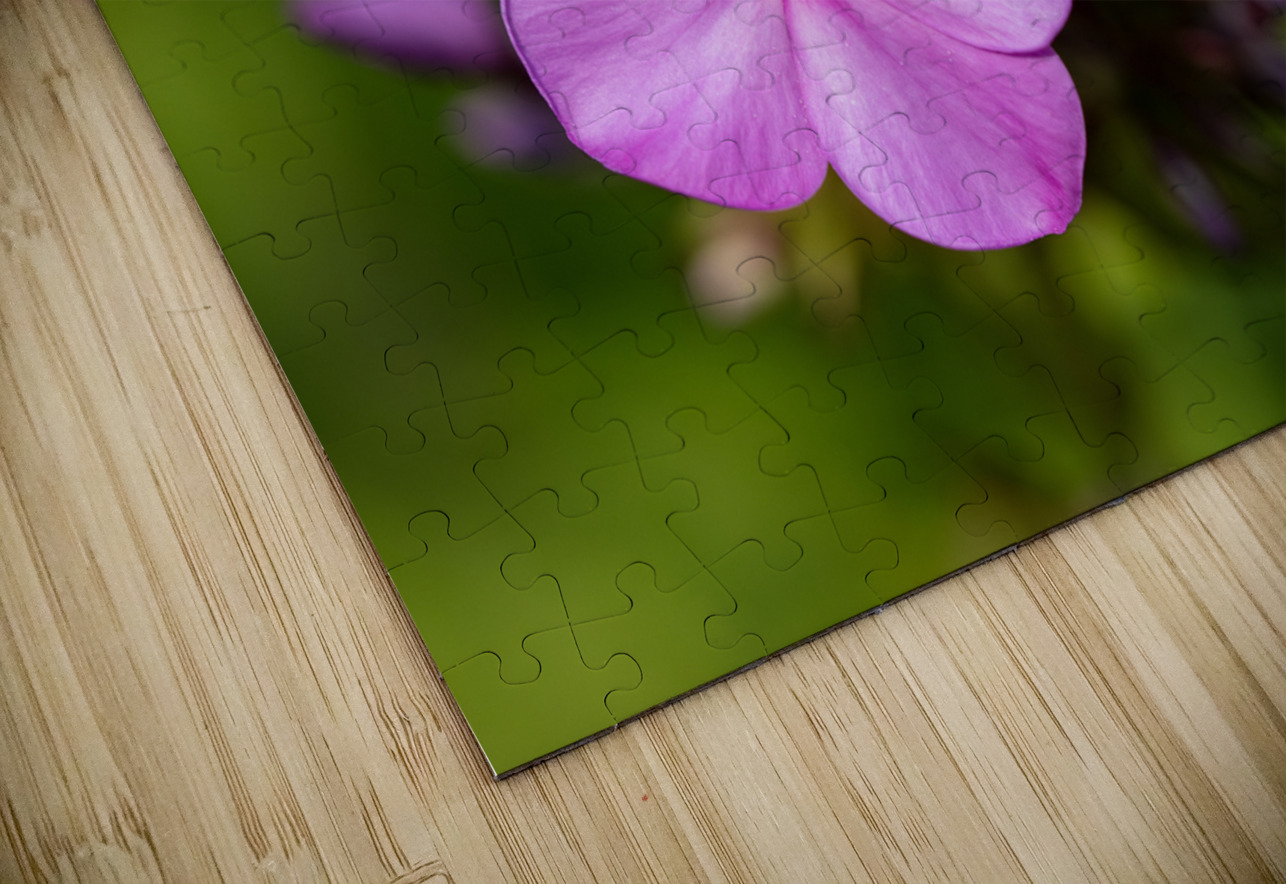 Call me Rosie Suzanne Bonin Puzzle