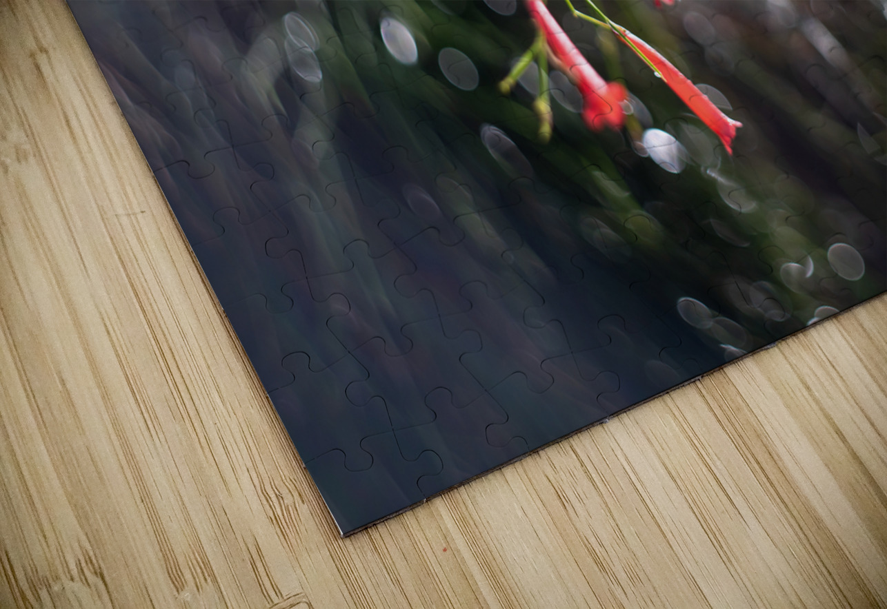 Firecrackers Suzanne Bonin Puzzle