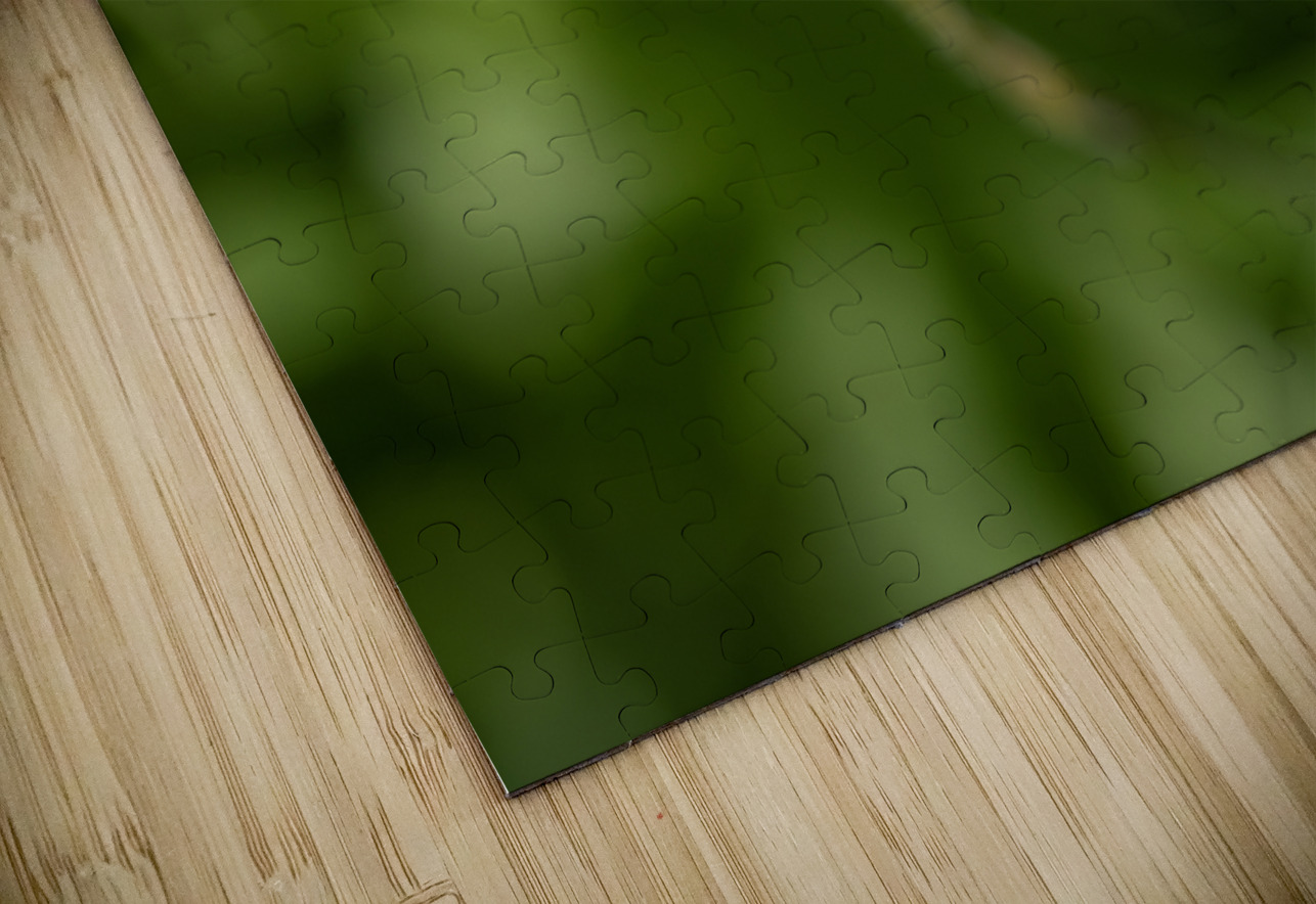 Little Beads Suzanne Bonin Puzzle