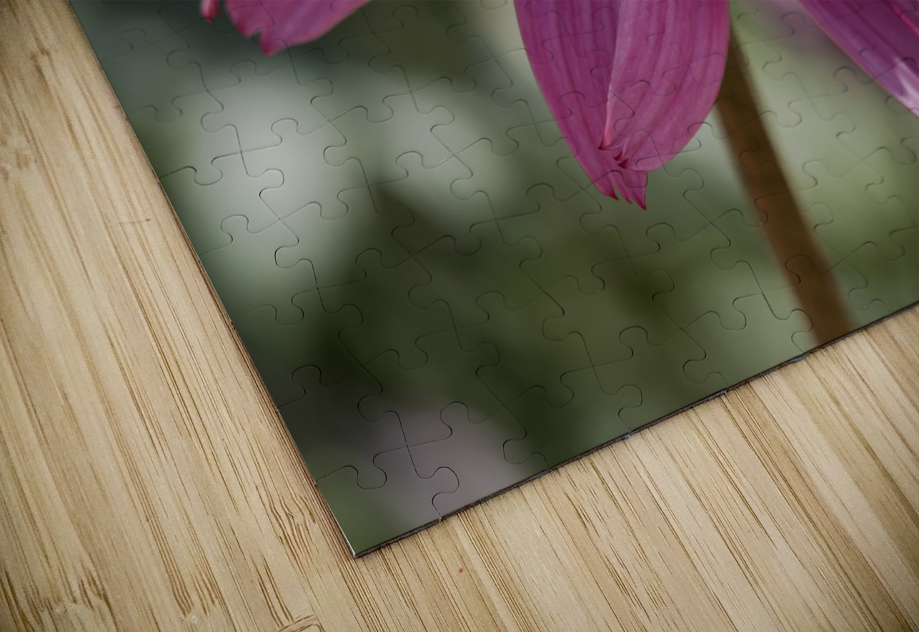 Large Hearted Suzanne Bonin Puzzle