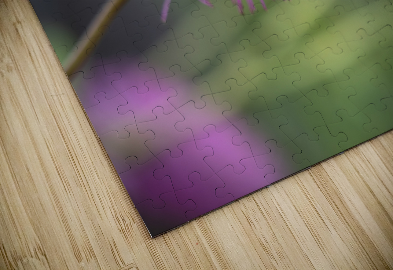 Squirrel Tail Suzanne Bonin Puzzle