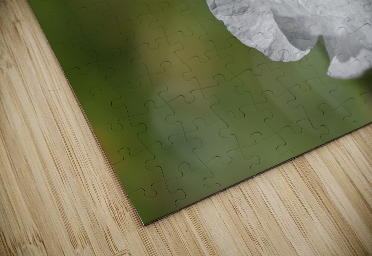 White Poppy Suzanne Bonin Puzzle