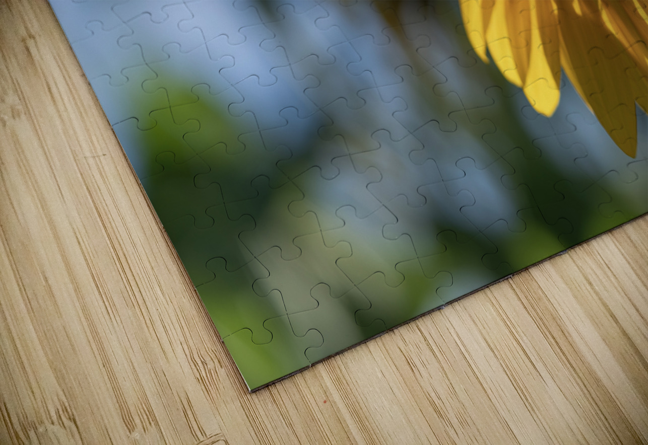 Sunlit Serenade Suzanne Bonin Puzzle