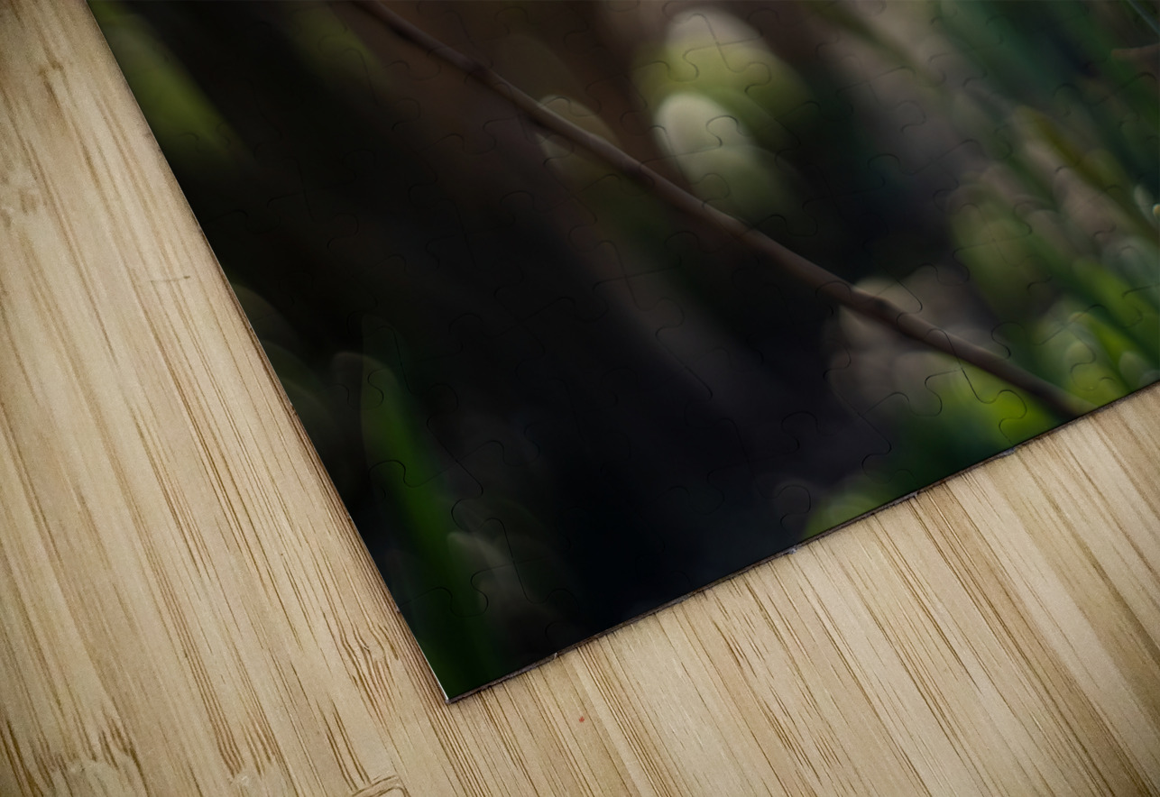 Daffodil Dreamscape Suzanne Bonin Puzzle